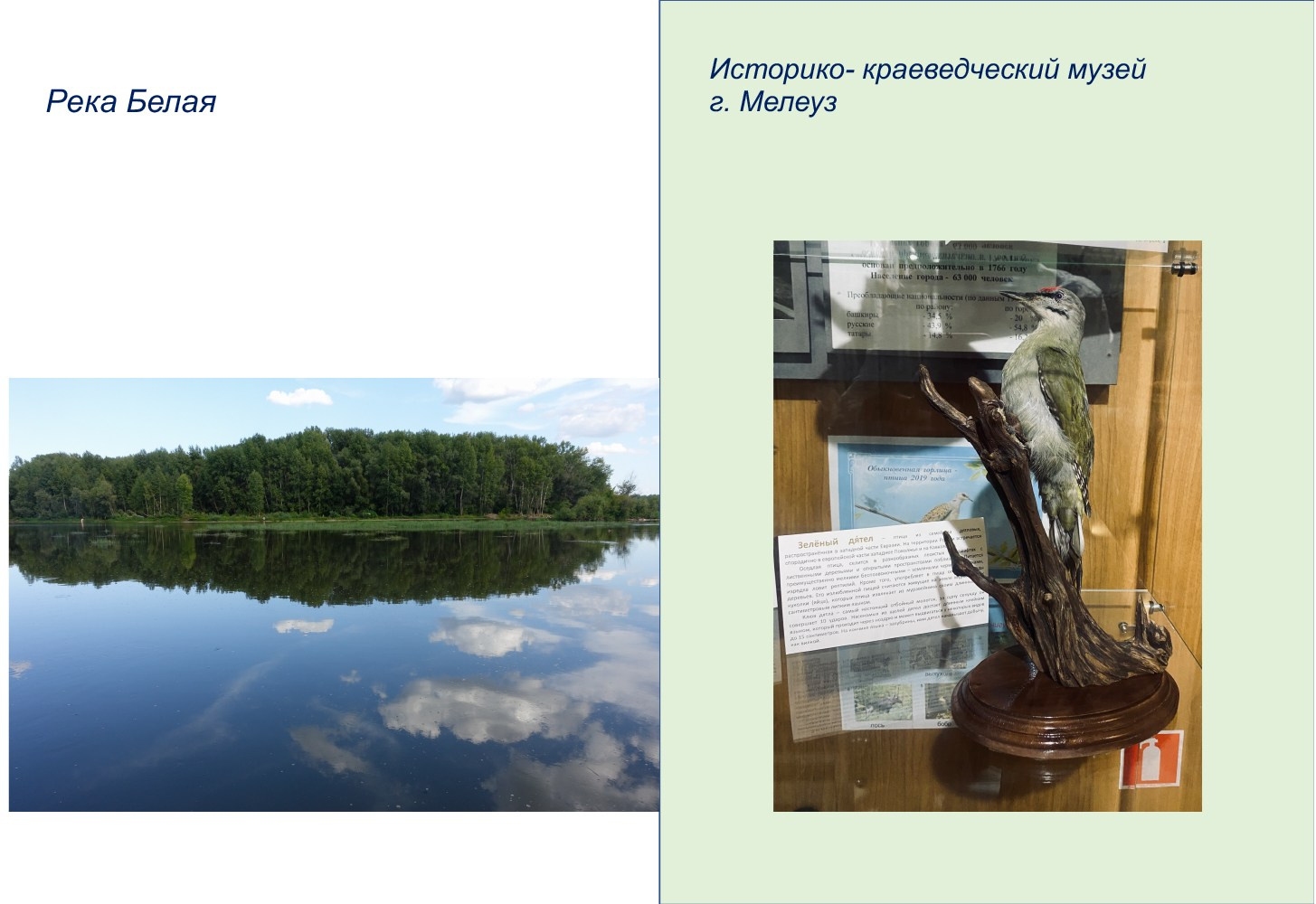 Маргарита Хатмуллина — Путешествие вдоль реки Белая