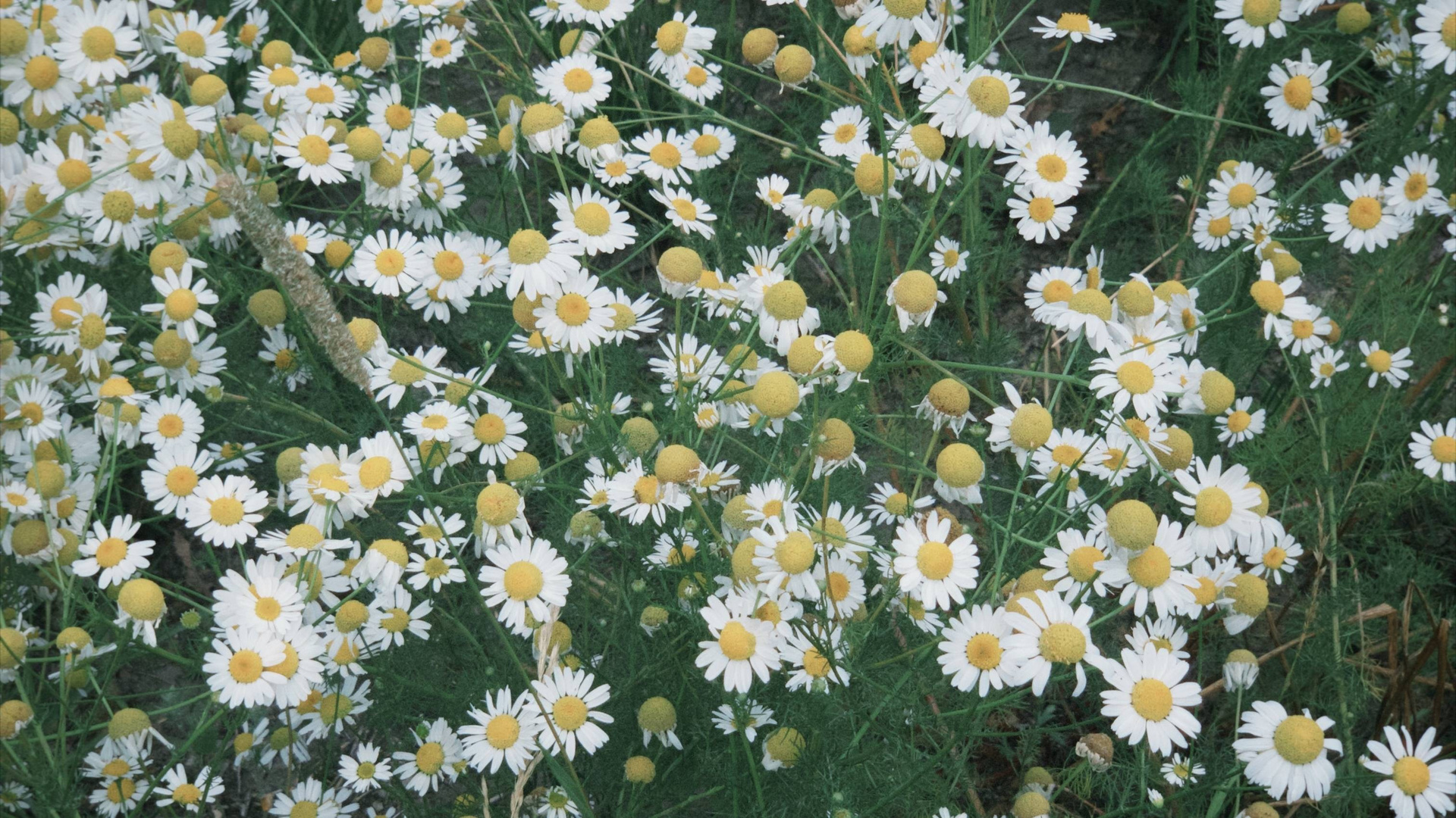 Курс «Простая фотография». Фотограф тюмень москва ксения половодова