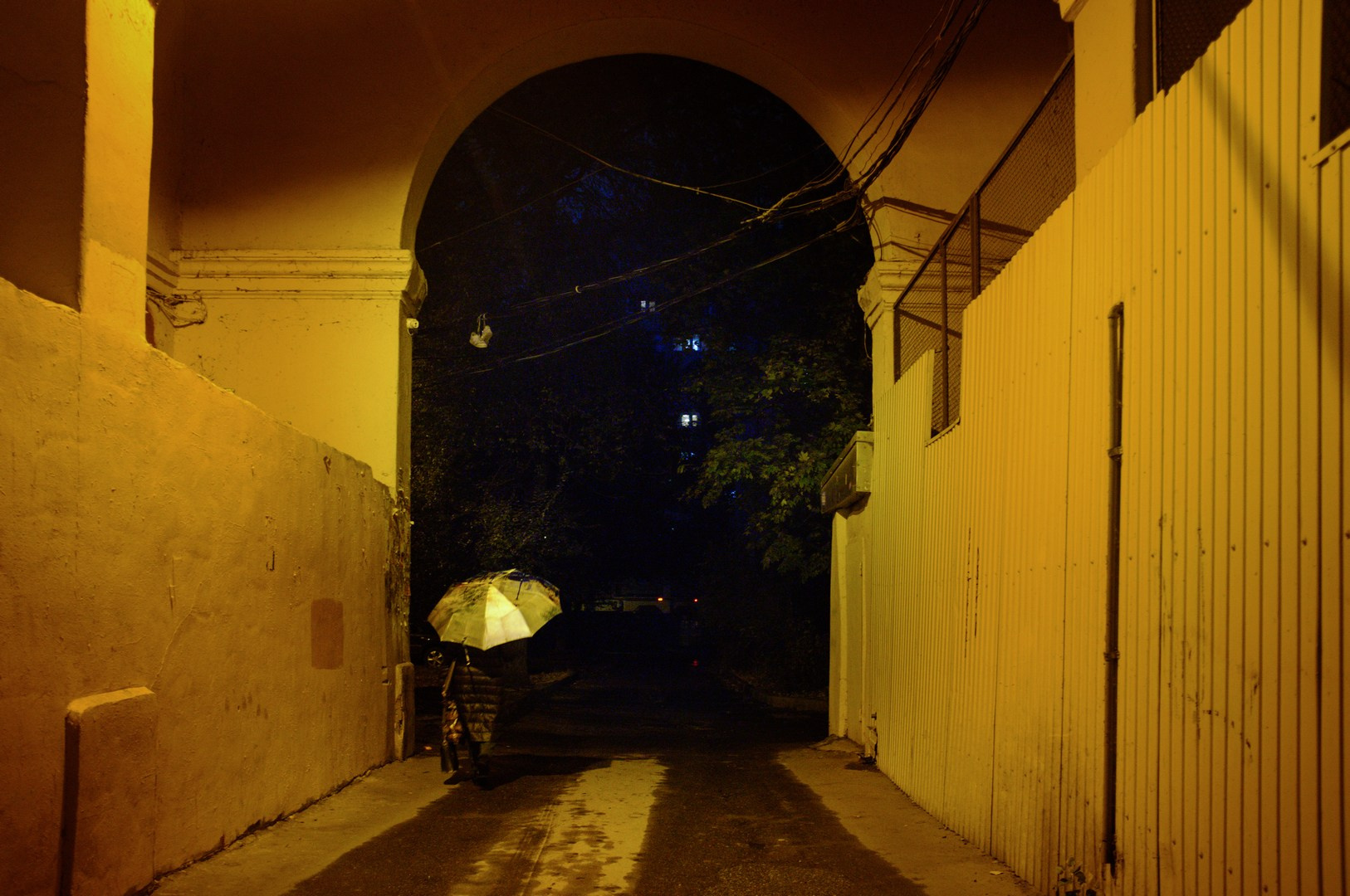 Главная. Руслан Шувалов (поэтограф)