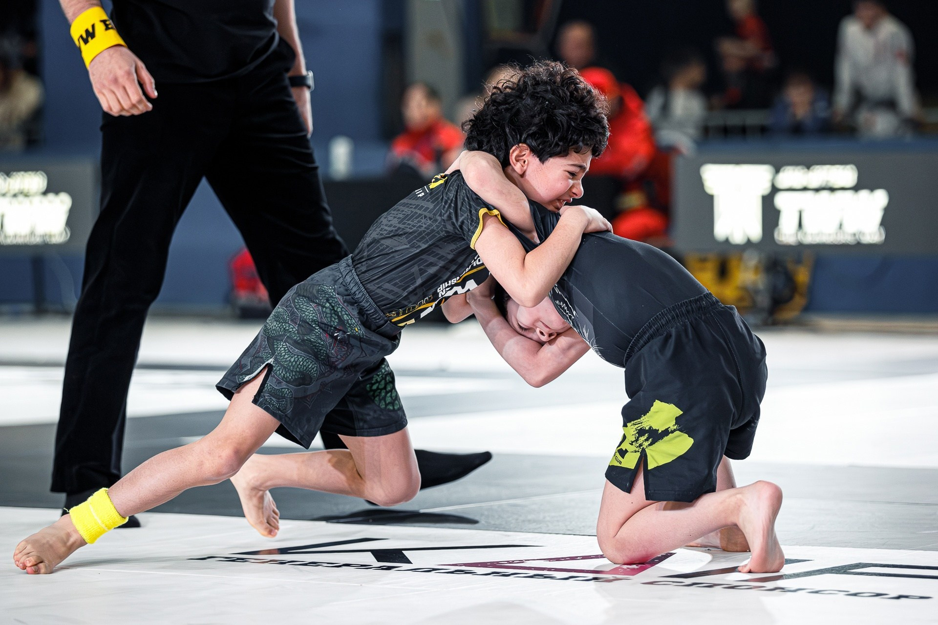 TWW BJJ WORLD OPEN CHAMPIONSHIP 2024