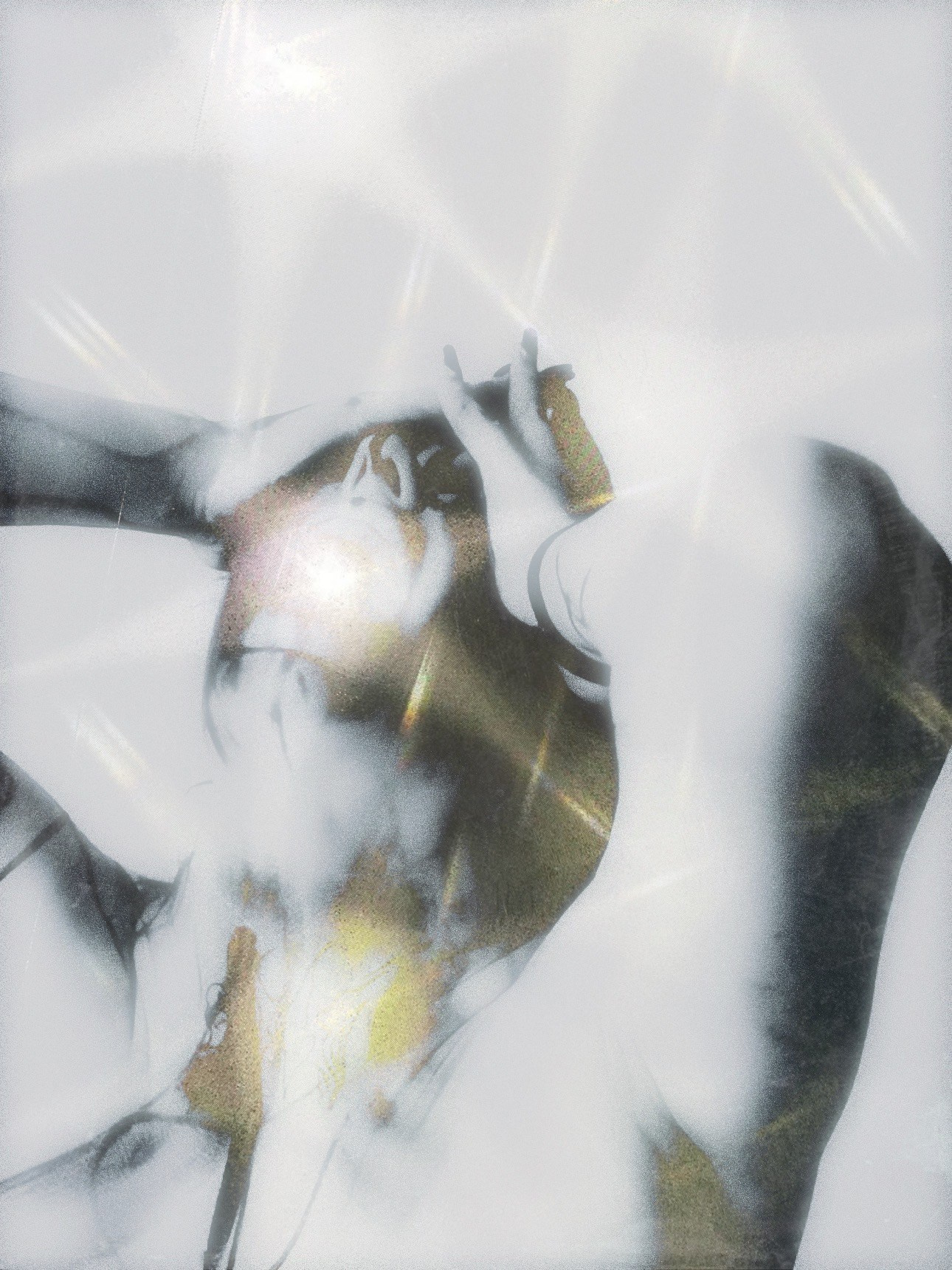 ARTIST'S STATEMENT & CV. Uvaliss | Alice Feer