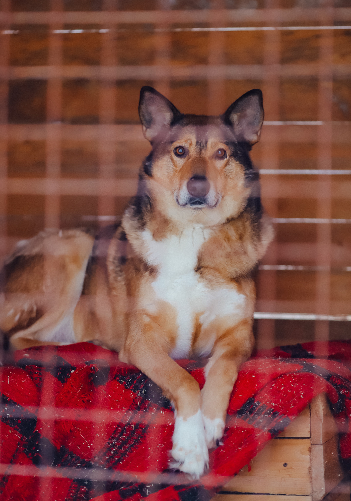 Отзывы. Фотограф Варвара Ермоленко