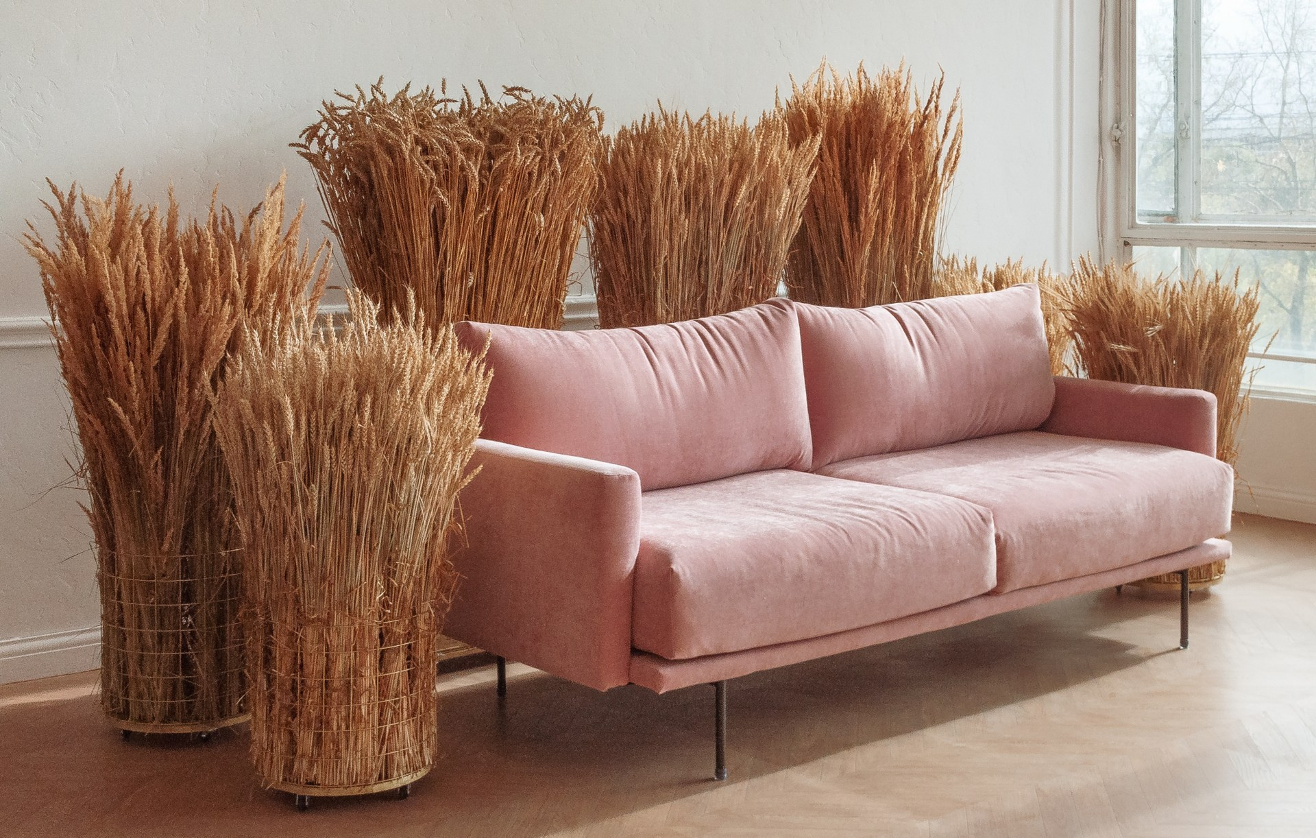 Студии для фотосессий в Москве. Семейный фотограф в Москве 📸