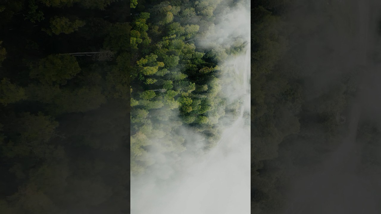 Film. Фотограф и видеограф Елена Хмелевская