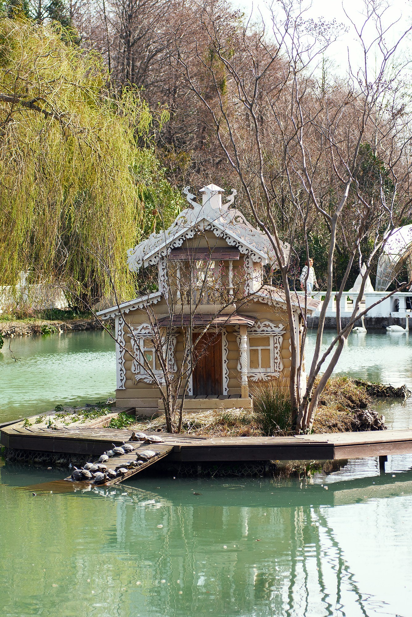 Парк в Адлере «Южные культуры». Фотограф в Адлере, Сириусе, Красной Поляне — лавстори, семейные и индивидуальные фотосессии