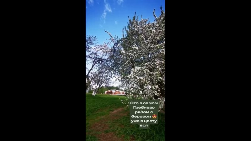 Что и где цветёт в Щёлково. Свадебный и семейный фотограф Виктория Носачёва. Щелково, Москва и МО