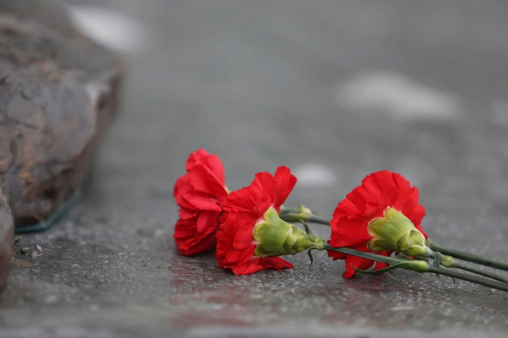 Список безвинно репрессированных на территории МО НГП. История Назиевского городского поселения