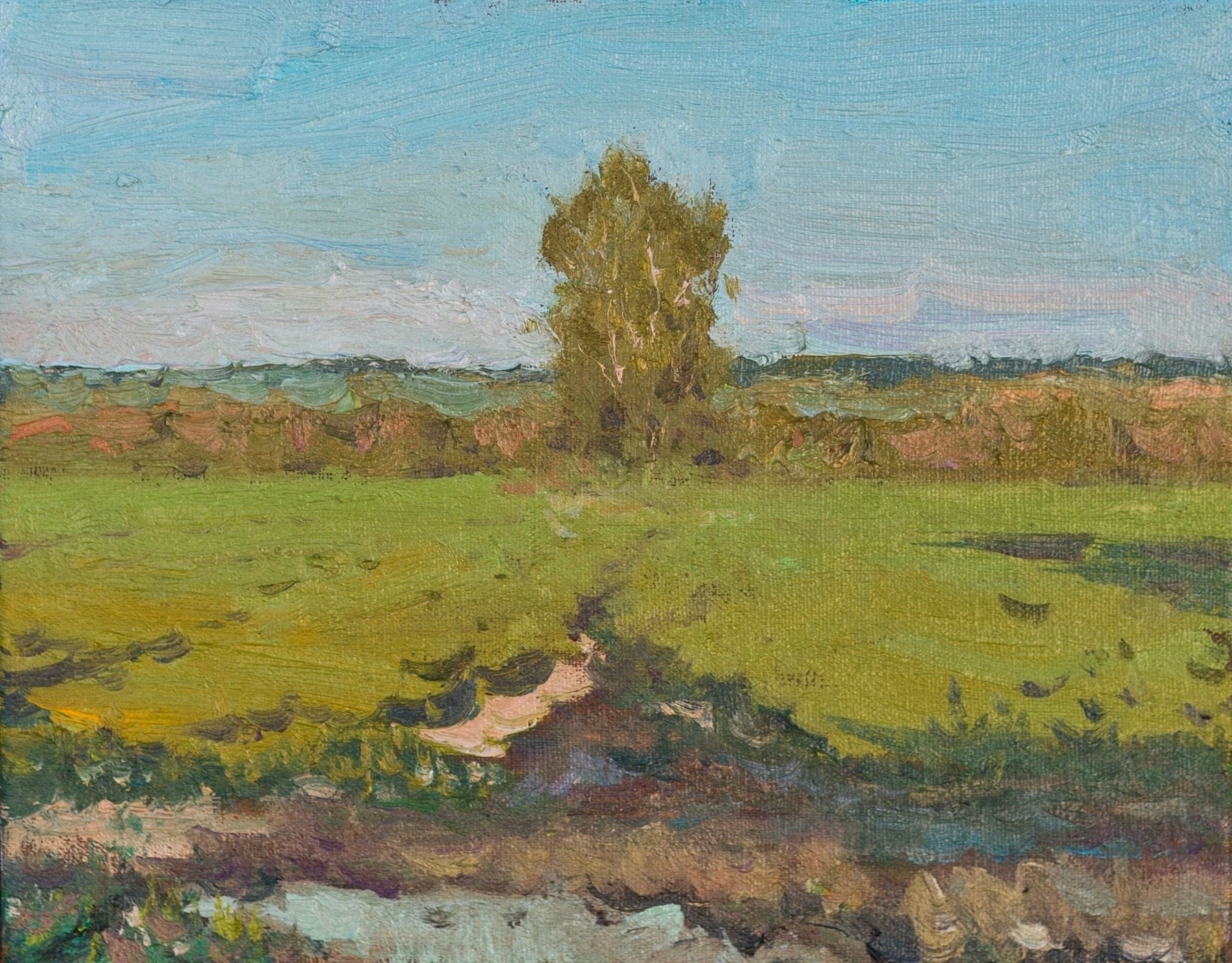 Июльский вечер