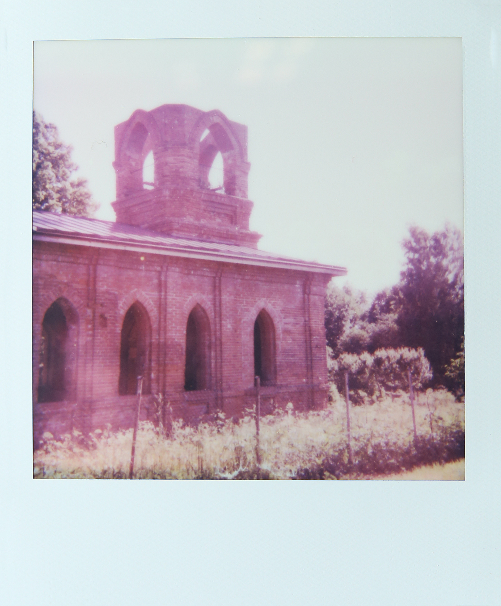 Лена Альтшуль