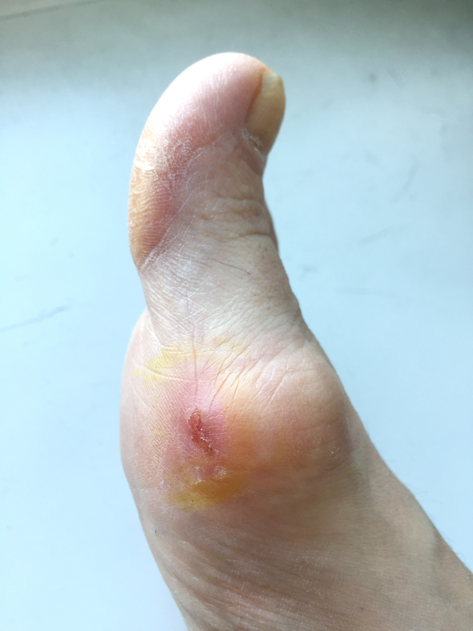 Василиса Моисеева -  выставка ''Вещь № 4'' с 26 августа по 26 октября