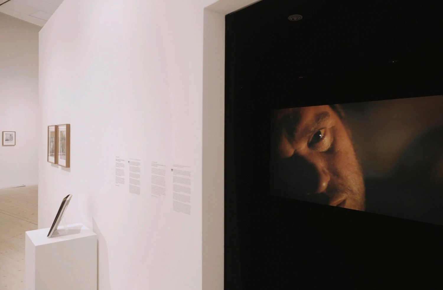 INTERVIEW WITH THE ARTIST: Maja Daniels. Самоорганизация Низина