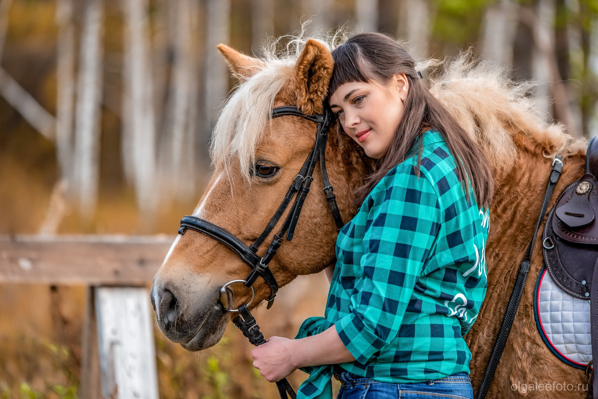 Конная фотосессия фотосессия с лошадью фотопроект с конем. Ольга Ли свадебный семейный фотограф Иркутск