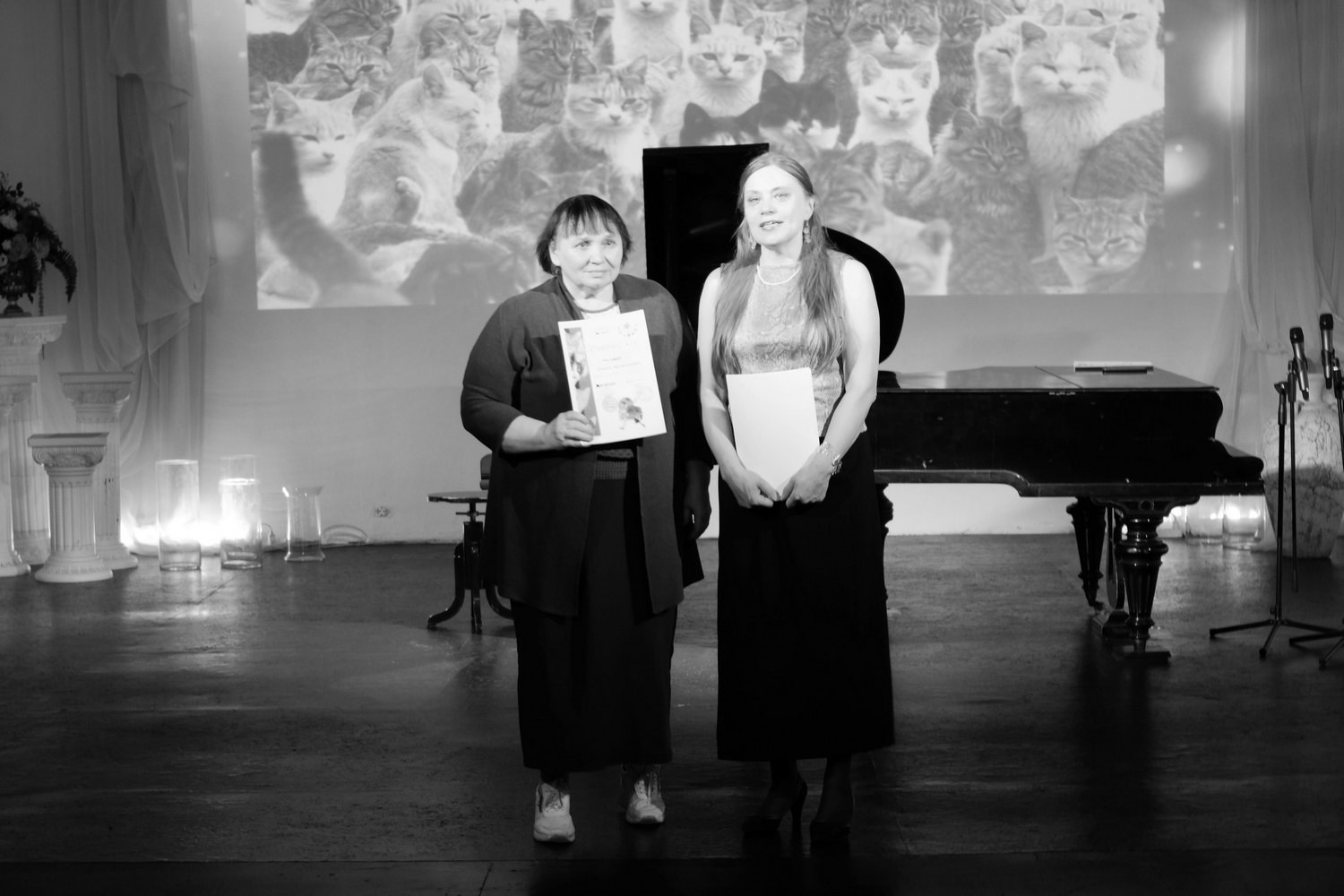 «ПитерКот» ежегодная выставка работ художников. Дом Шрёдера