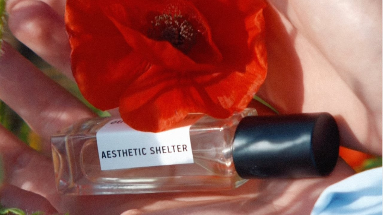 Director of photography