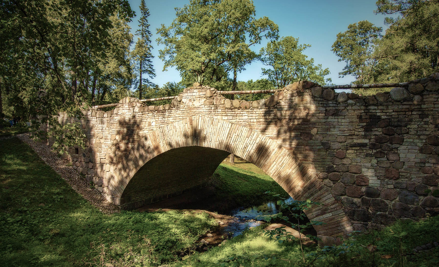 Главная. Фотограф Павел Дунюшкин, г.Зеленоградск Калининградской области