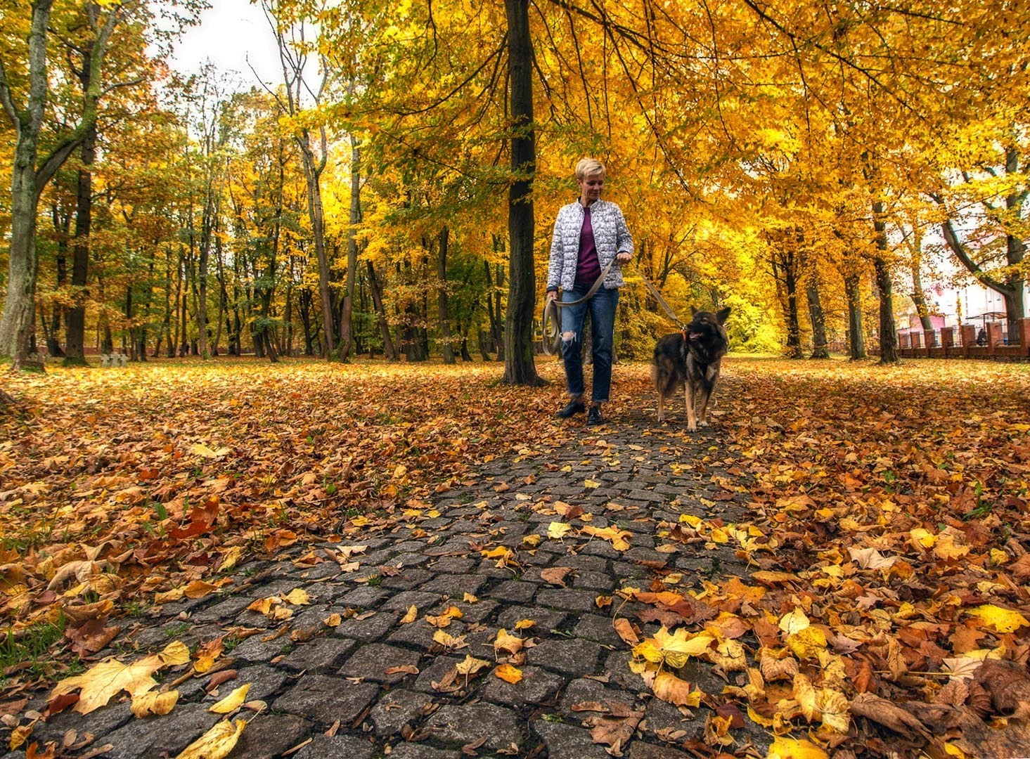 Главная. Фотограф Павел Дунюшкин, г.Зеленоградск Калининградской области
