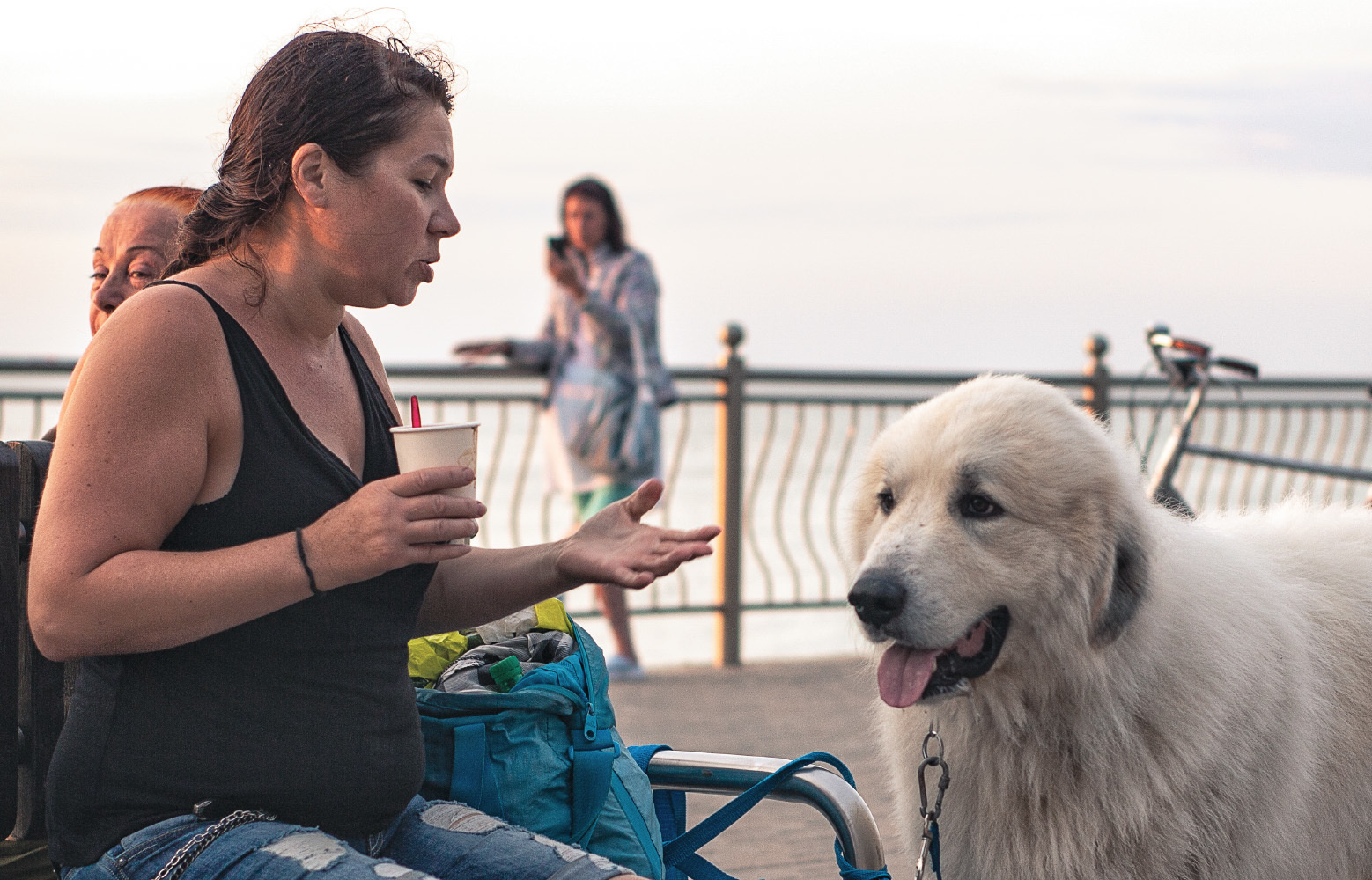 Главная. Фотограф Павел Дунюшкин, г.Зеленоградск Калининградской области