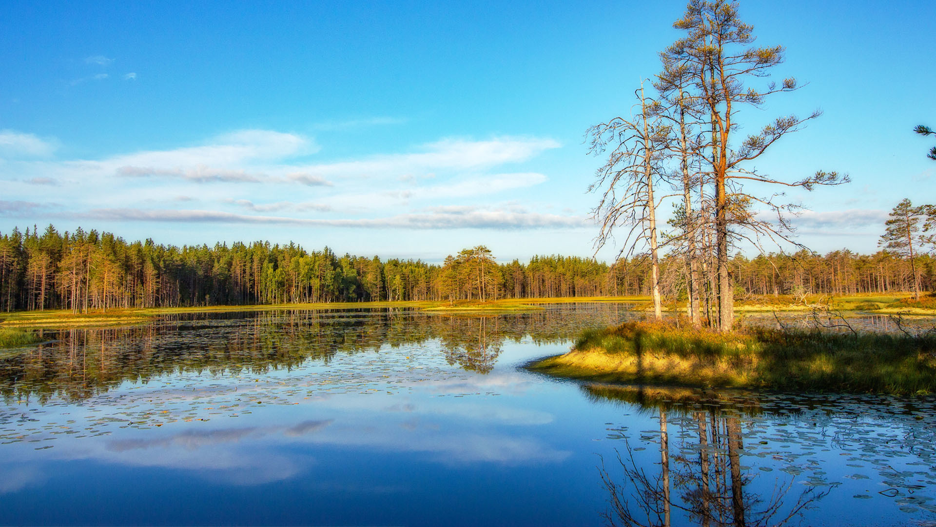 Главная. Фотограф Павел Дунюшкин, г.Зеленоградск Калининградской области