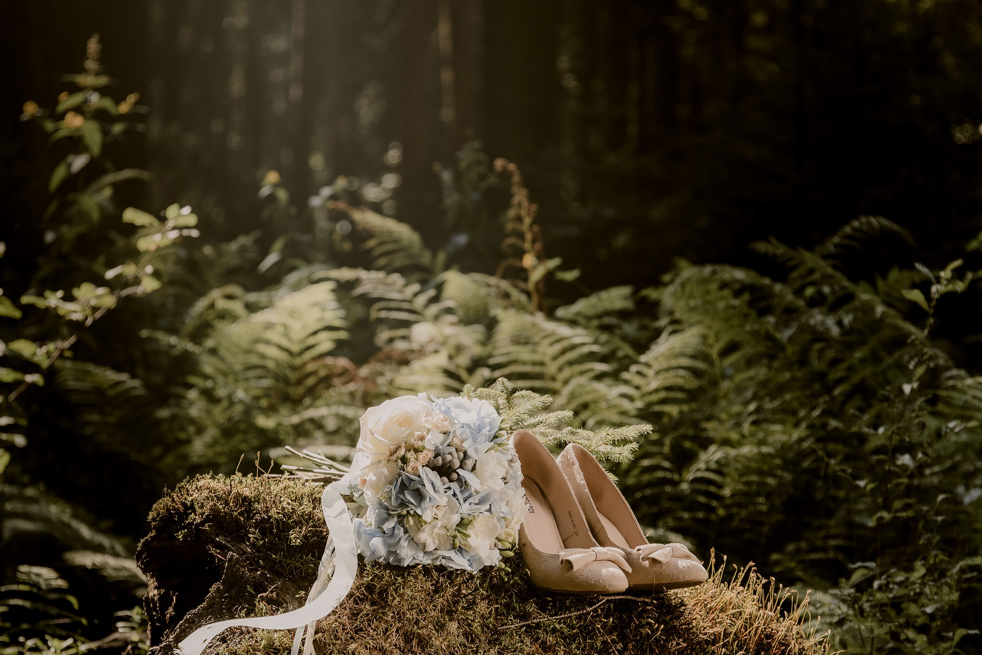 Фотограф Маргарита Милева