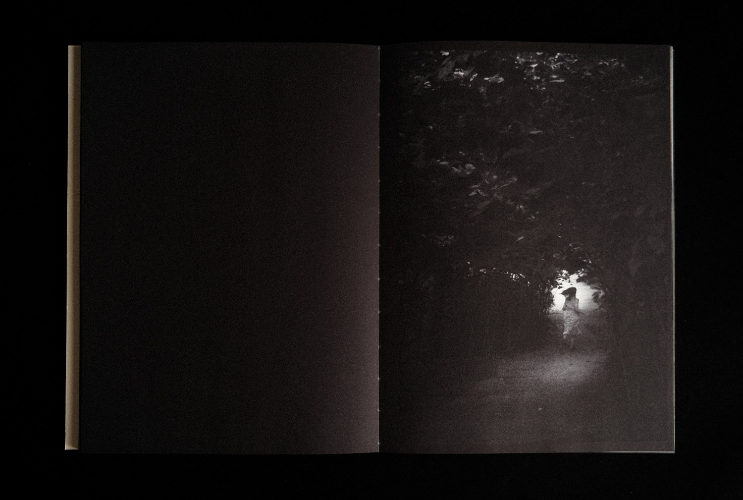 Фотокнига: Виктория Ковшикова «Проклятый треугольник». Самоорганизация Низина