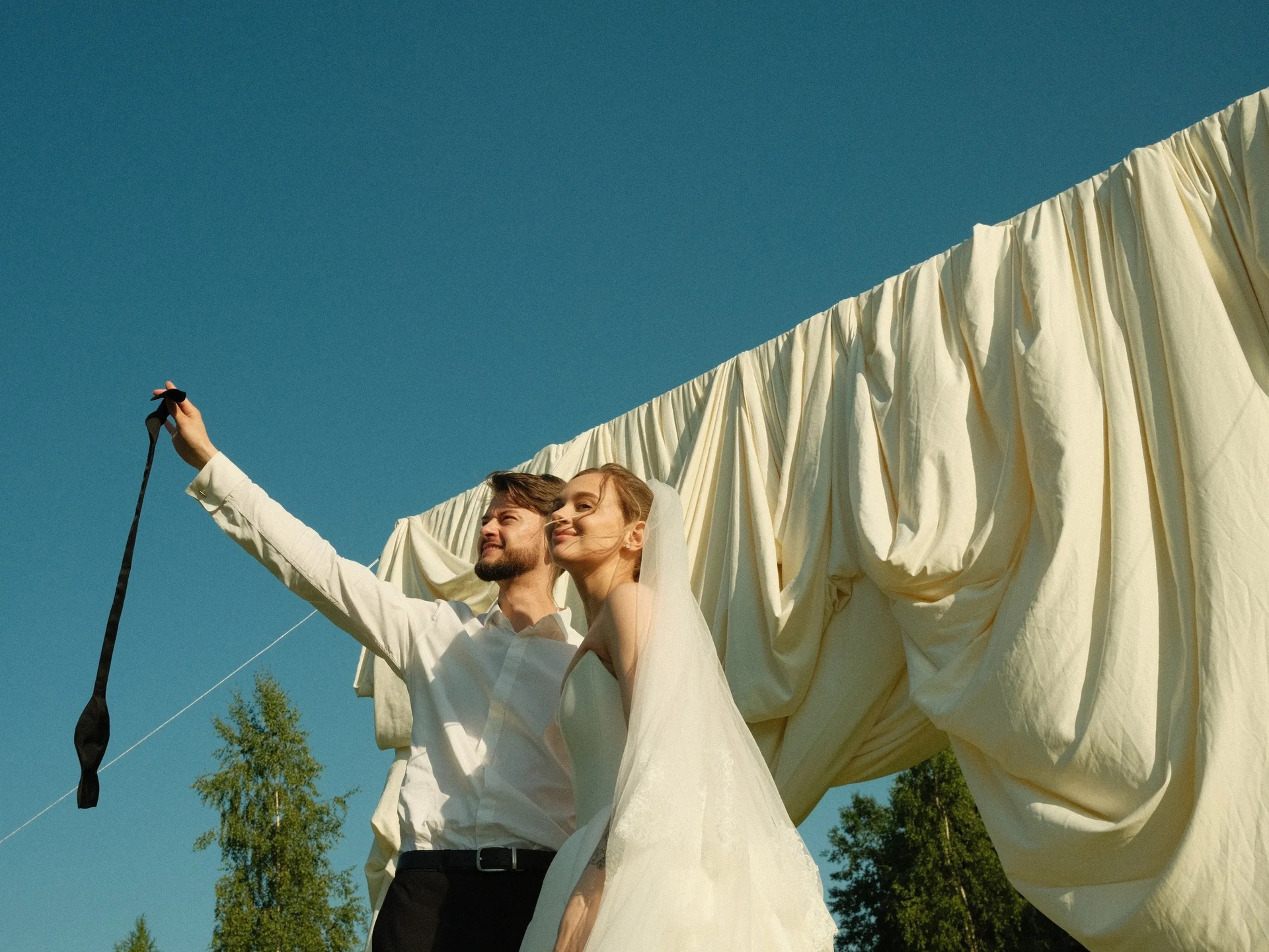 PETRI FILMS