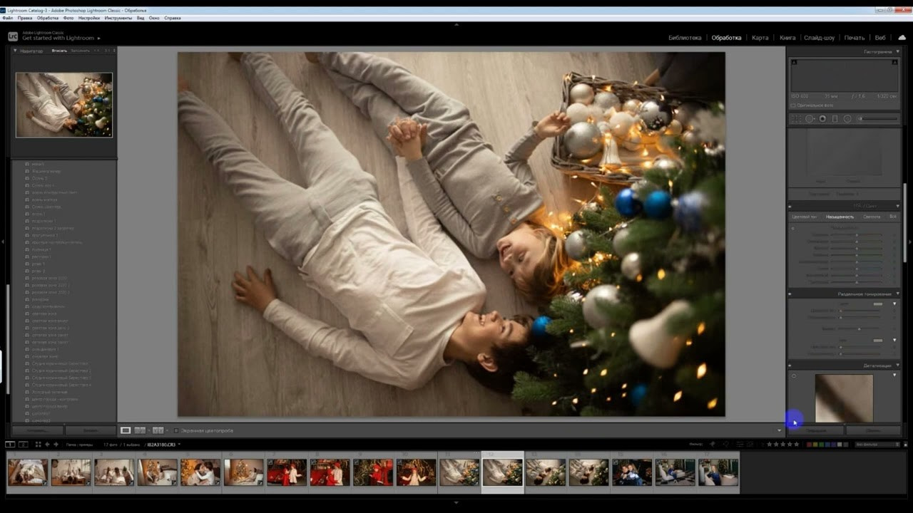 Коричневые пресеты, новый год 2024. Фотограф Дарья Берестова (Краснодар)