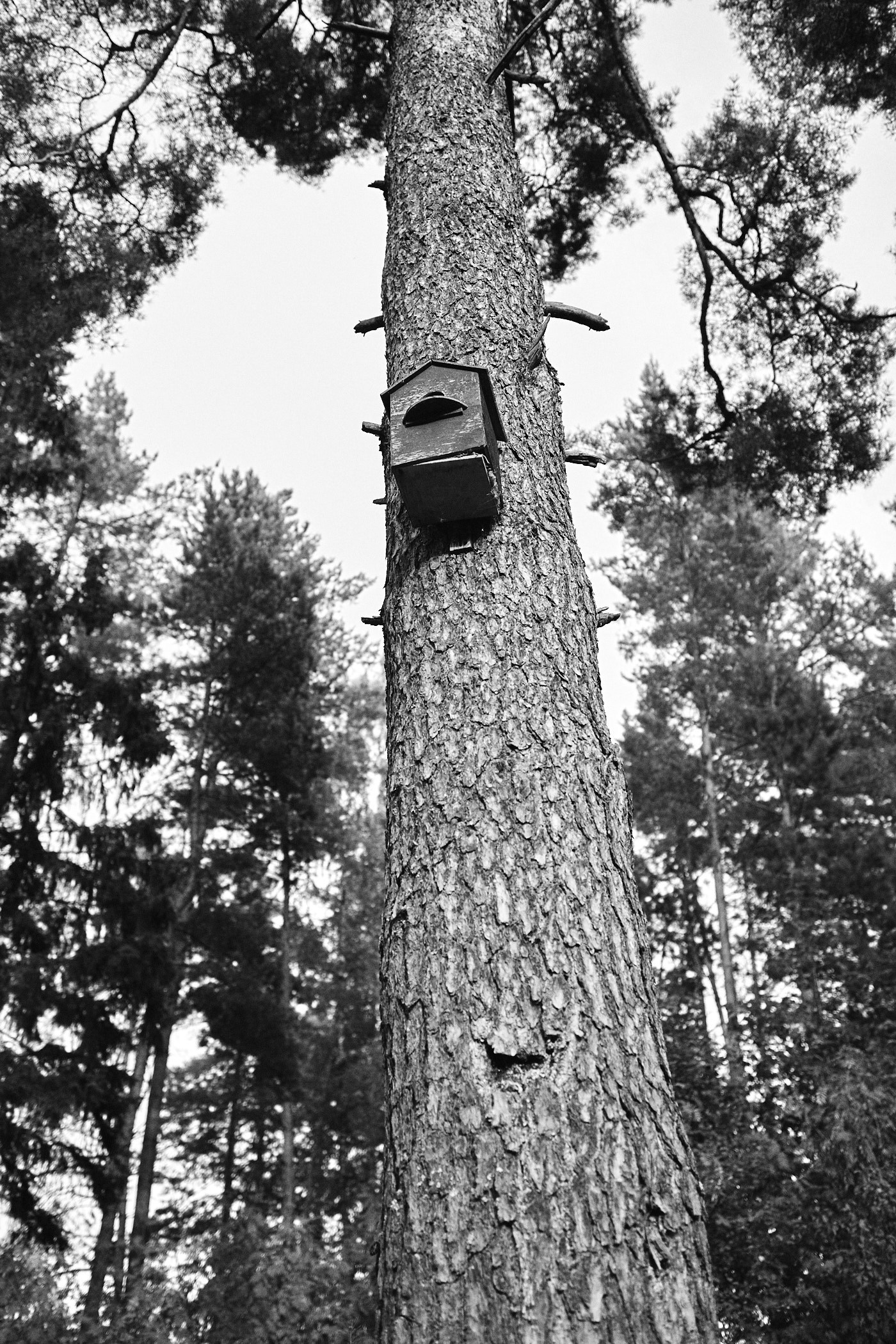 GrinФест. Денис Паунин — Фотографии