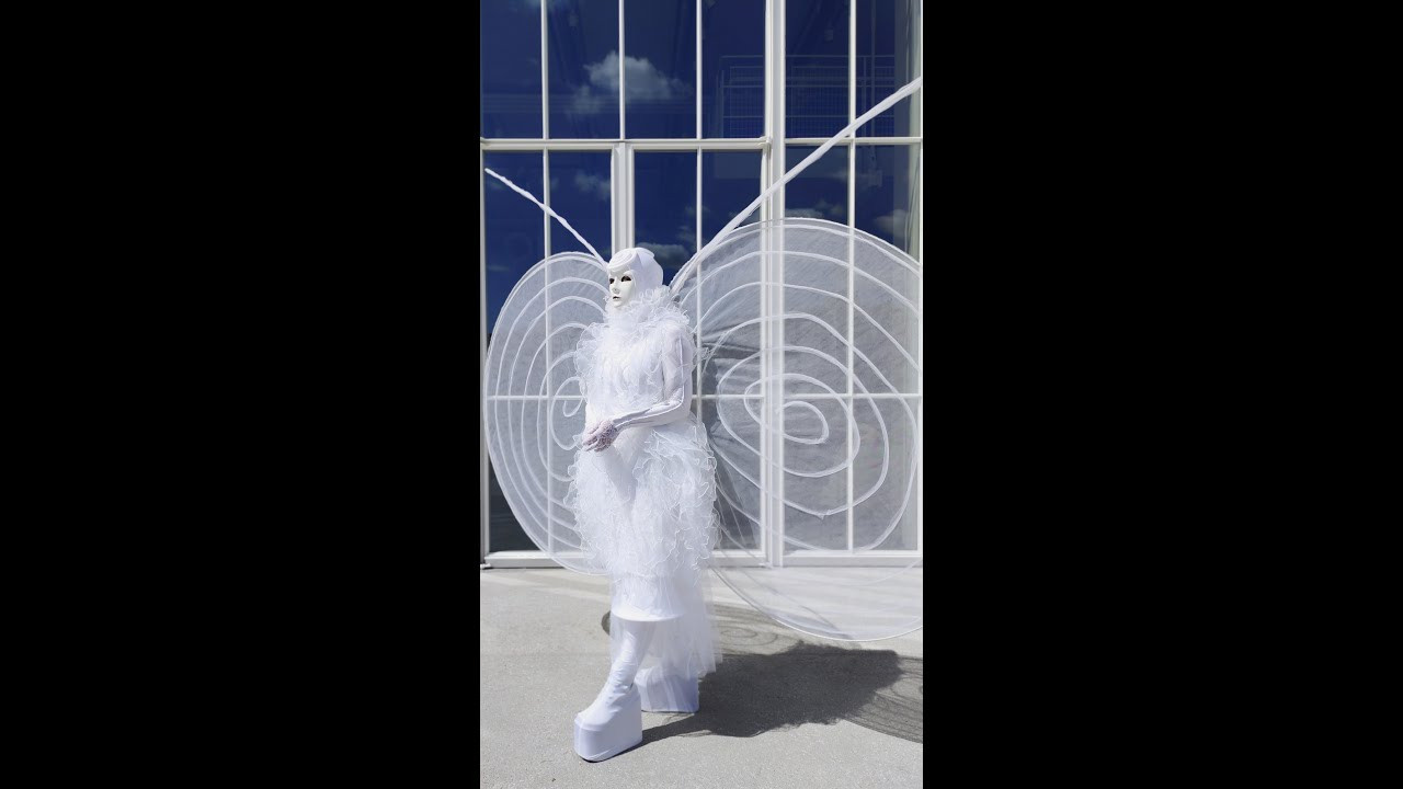 Видео (1). Мимы и Ходулисты на встречу гостей. Москва