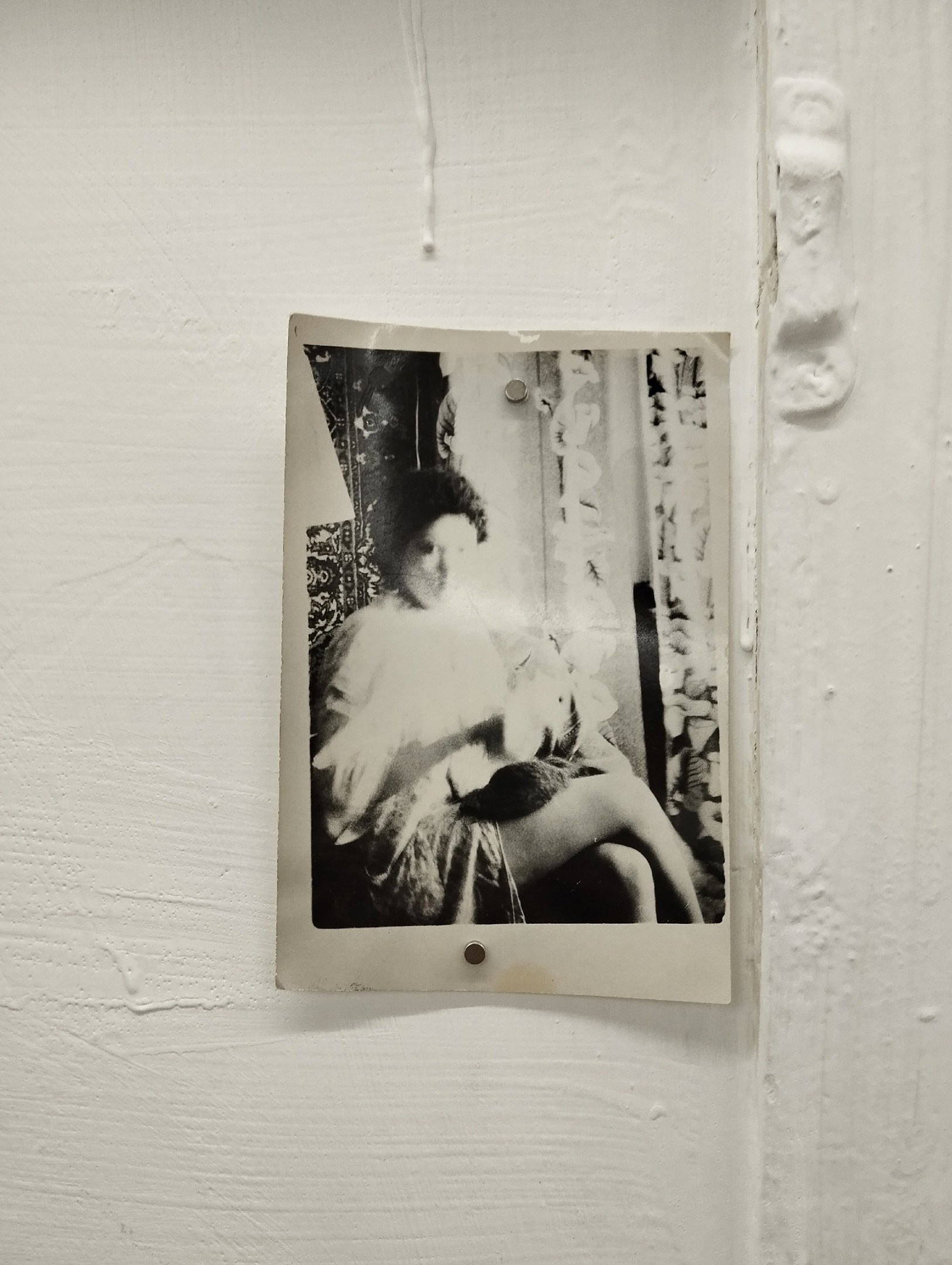 Alexey syrov / Visual artist