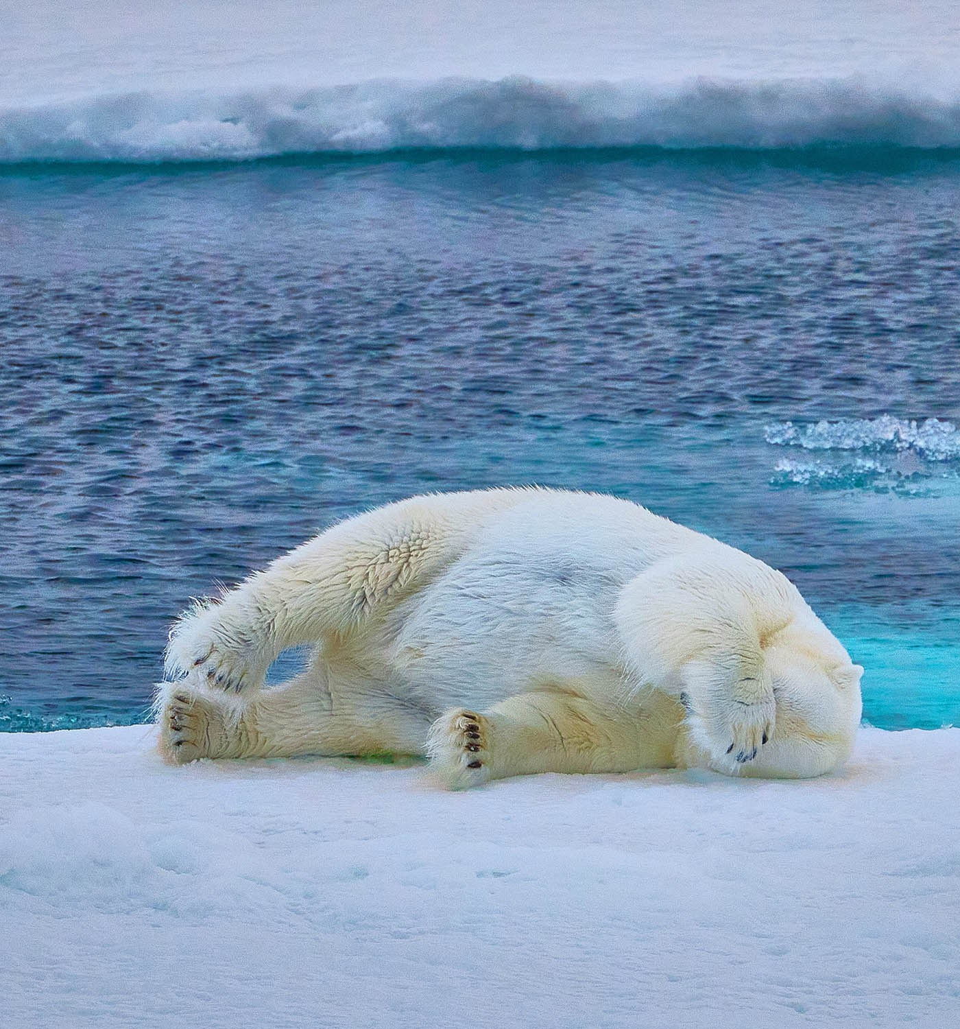 Учебник фотографии. Международная онлайн-фотошкола Сергея Рожнова