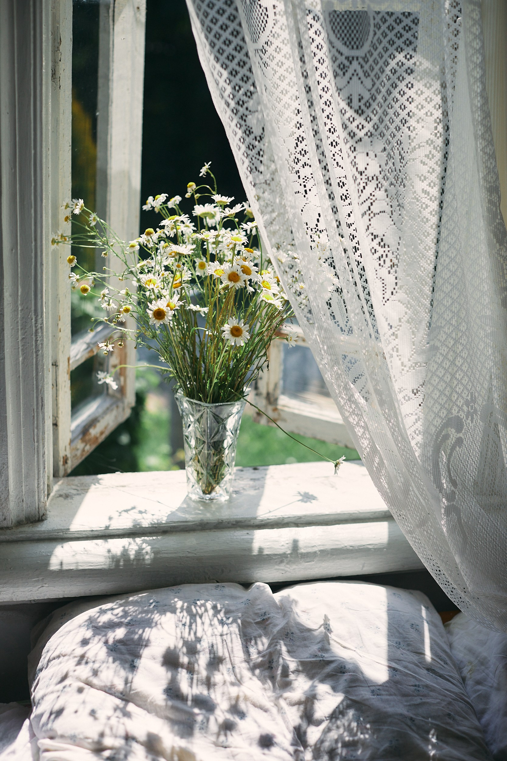 Фотограф Анастасия Губернаторова
