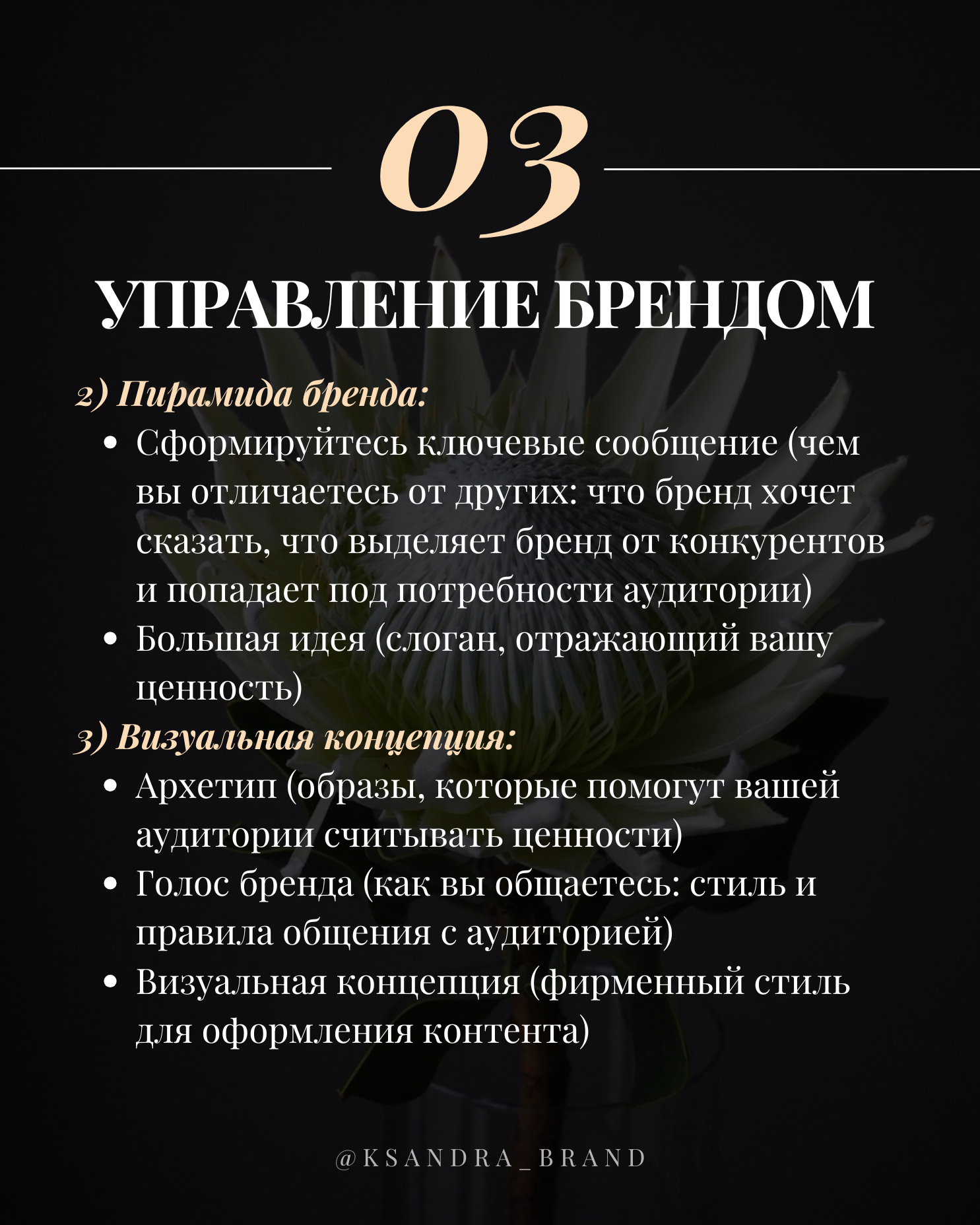 Практическое руководство: «Создание стратегии продвижения в соцсетях на 2025 год