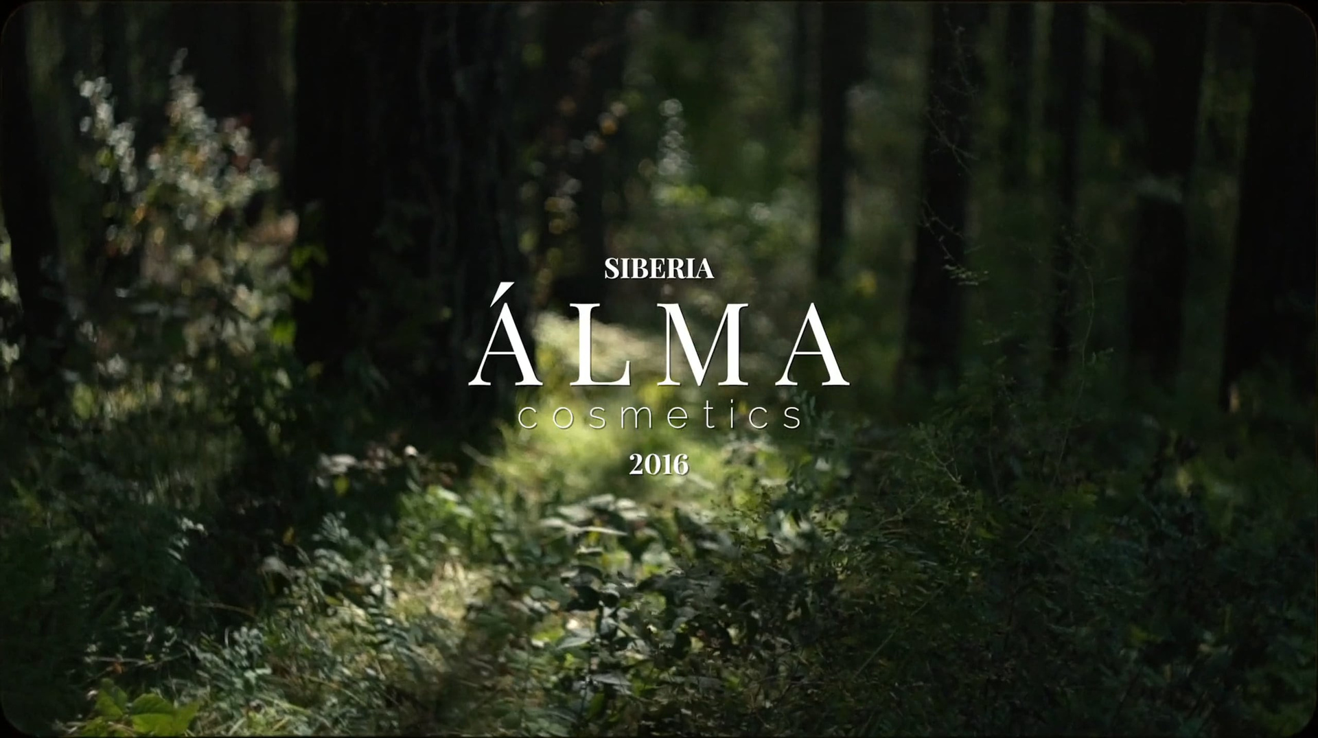 Видеограф Сочи Александр Барсуков