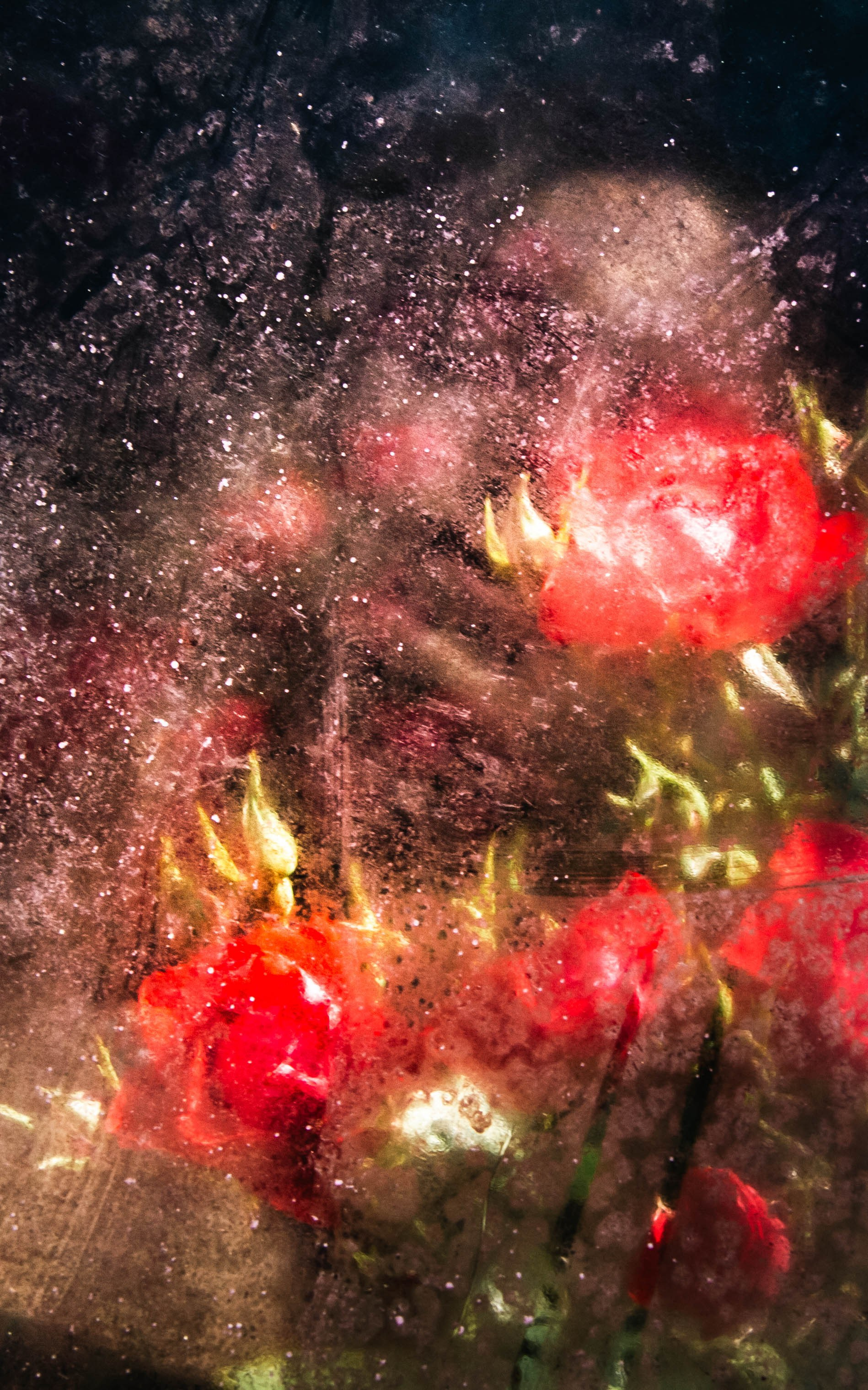 Курс «БОЛЬШОЙ И ГРОМКИЙ!». Университет по фотографии Игоря Мальцева