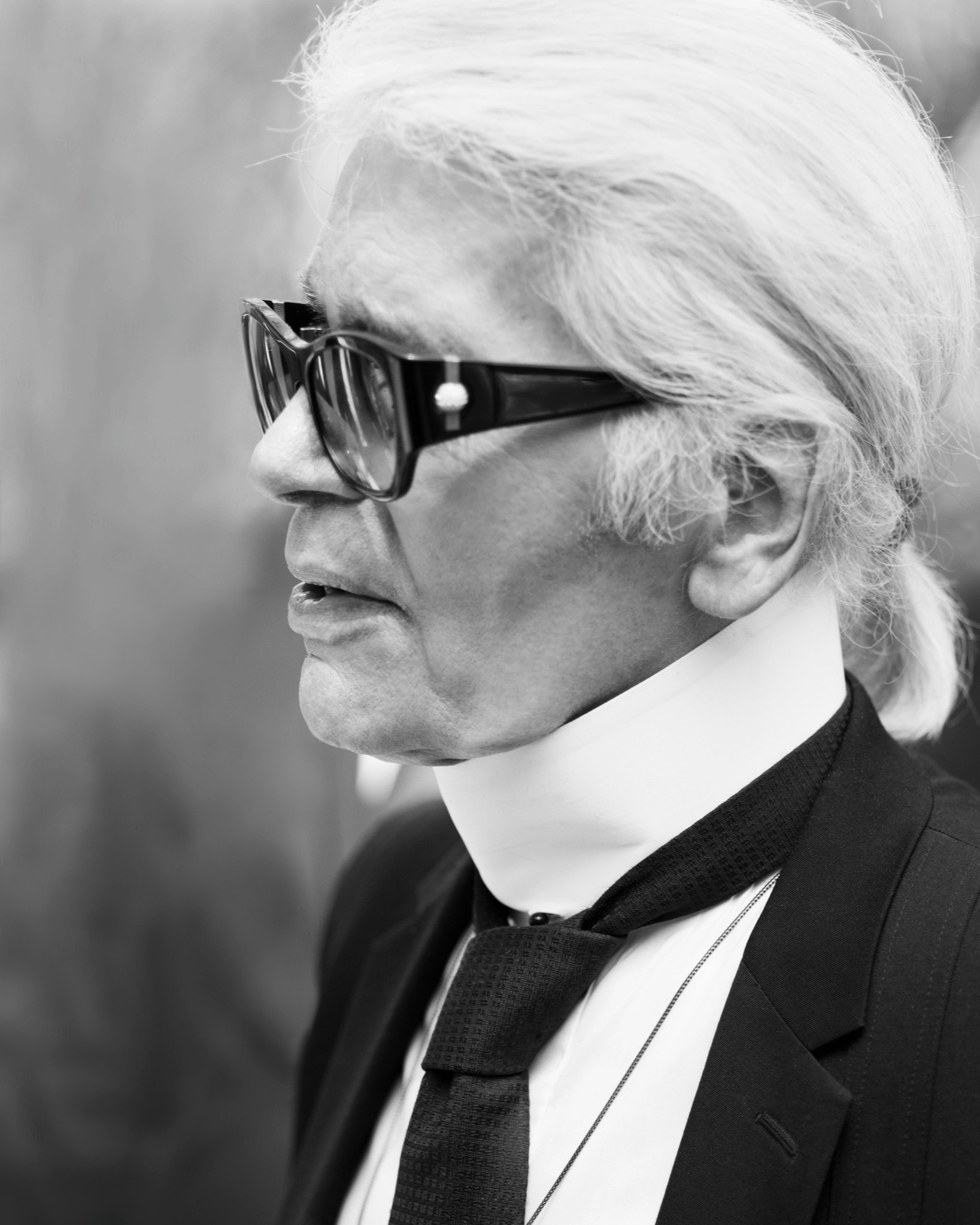 KARL LAGIERFELD/ ELLE