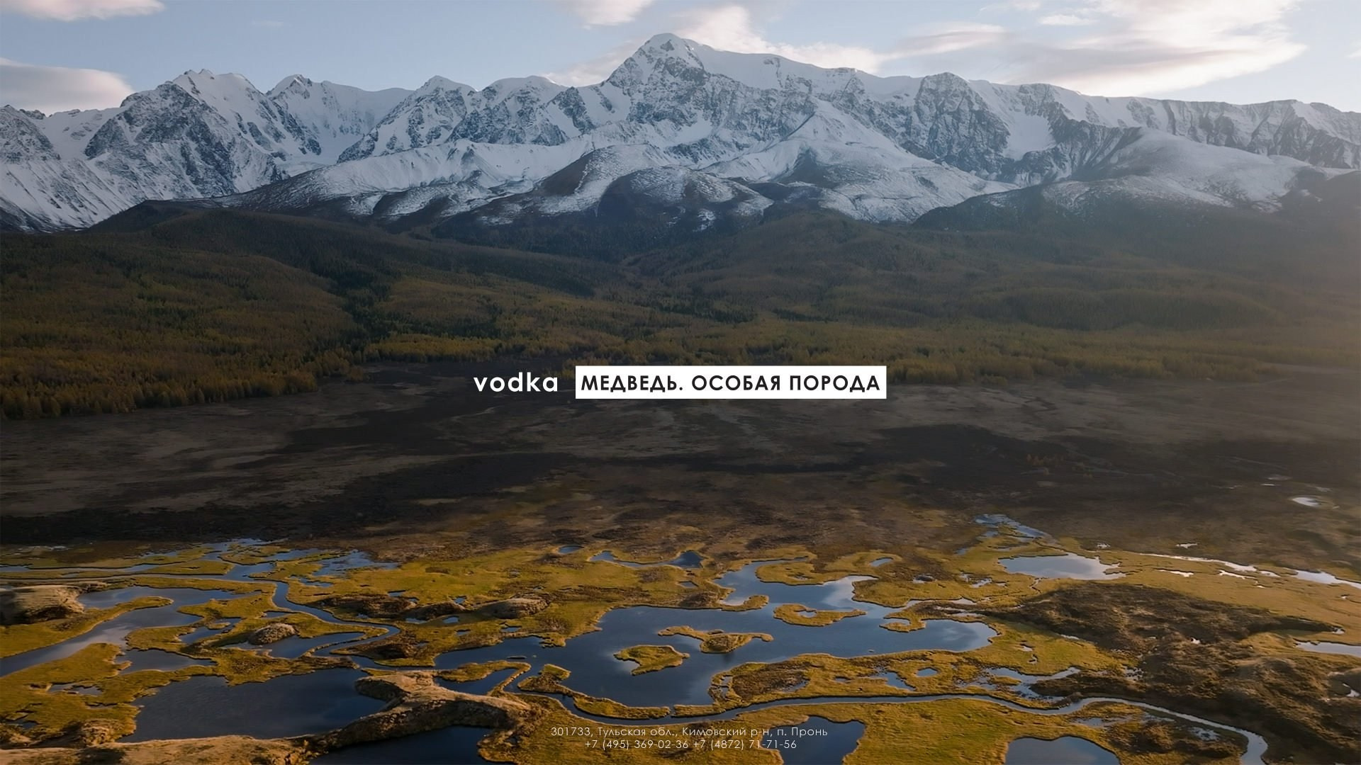 Medved. Short films by Vadim Sherbakov