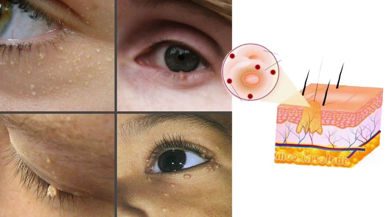 Готовые курсы приема продукции компании Сово-Сова. Сово-Сово — Омоложение и оздоровление!