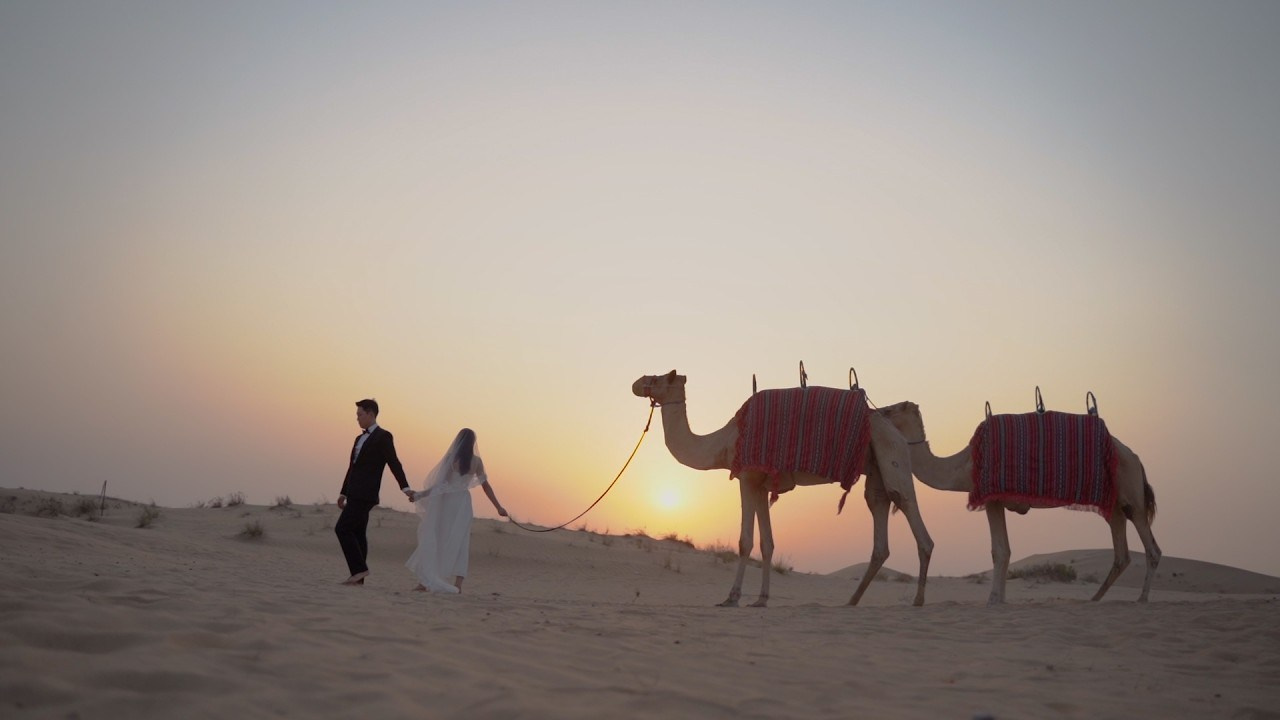 Wedding video in Abu Dhabi desert