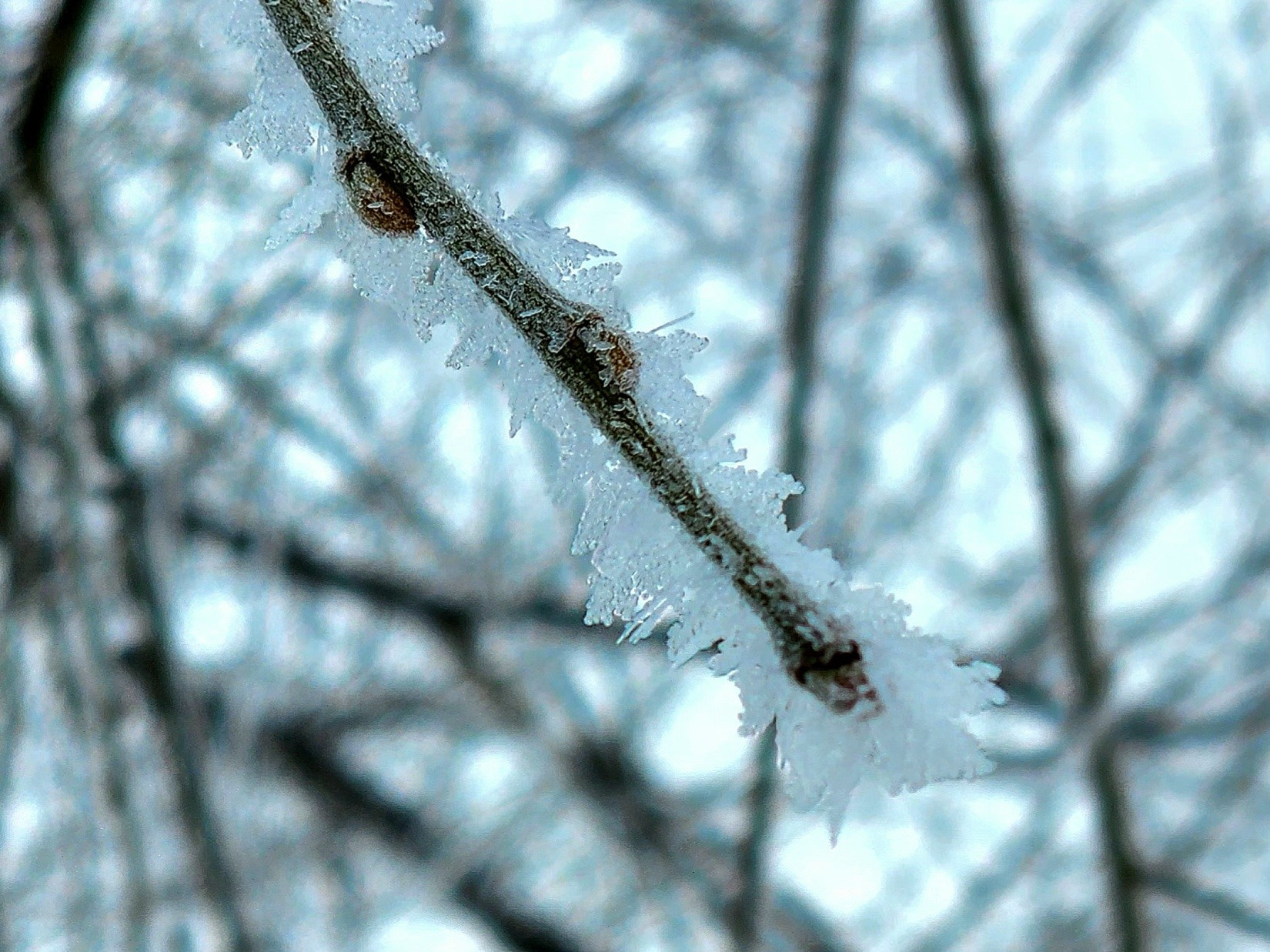 Репортажный фотограф Константинов Сергей