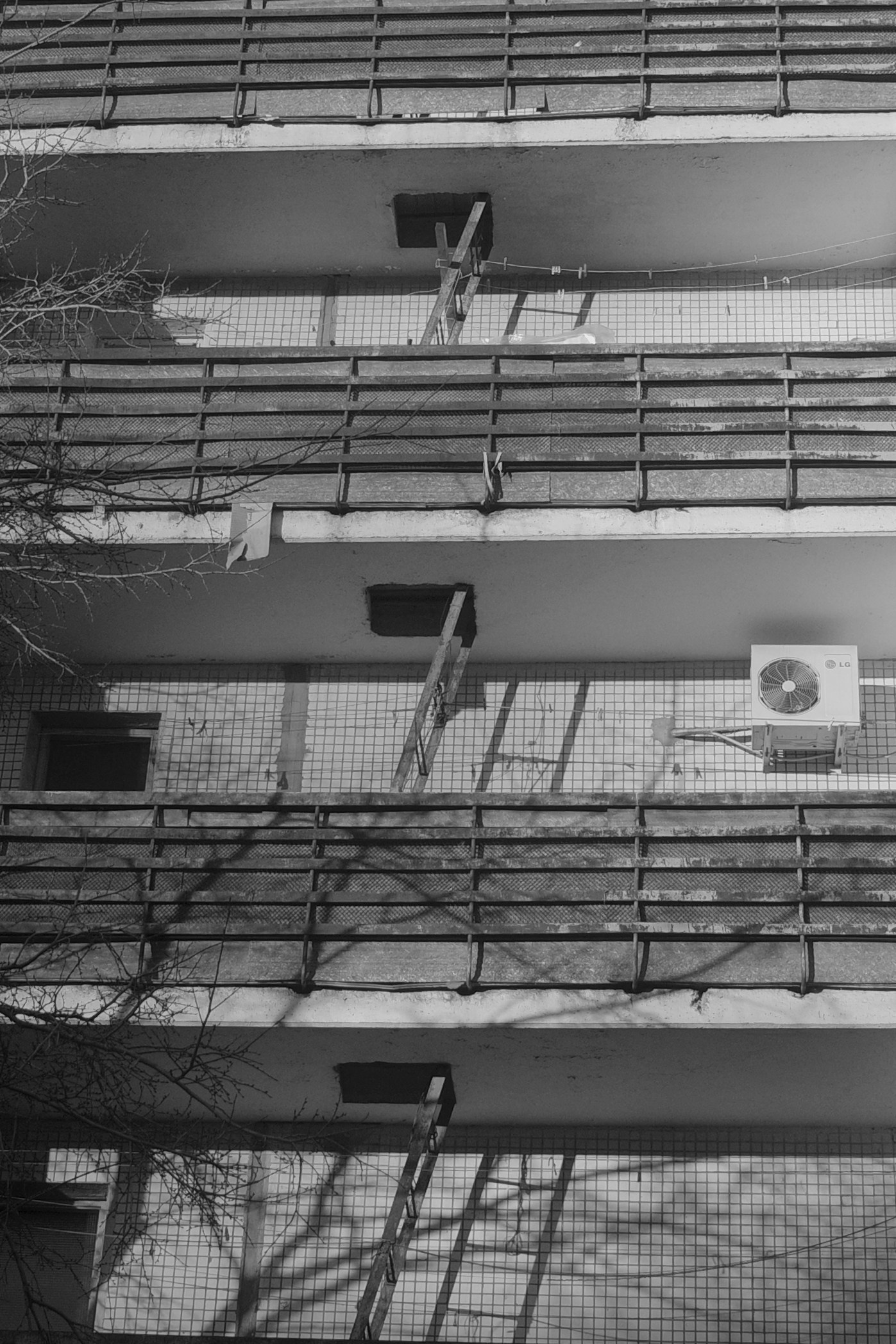 — 2025. Фотограф Злата Спицына