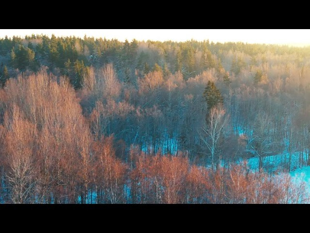 Аэросъемка. Студия визуального контента в Санкт-Петербурге и Москве