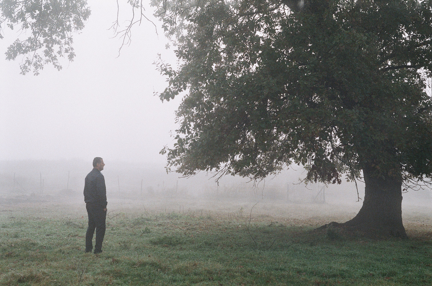 Невидимая кровь (текущий проект). Междисциплинарный художник и режиссер София Меликова
