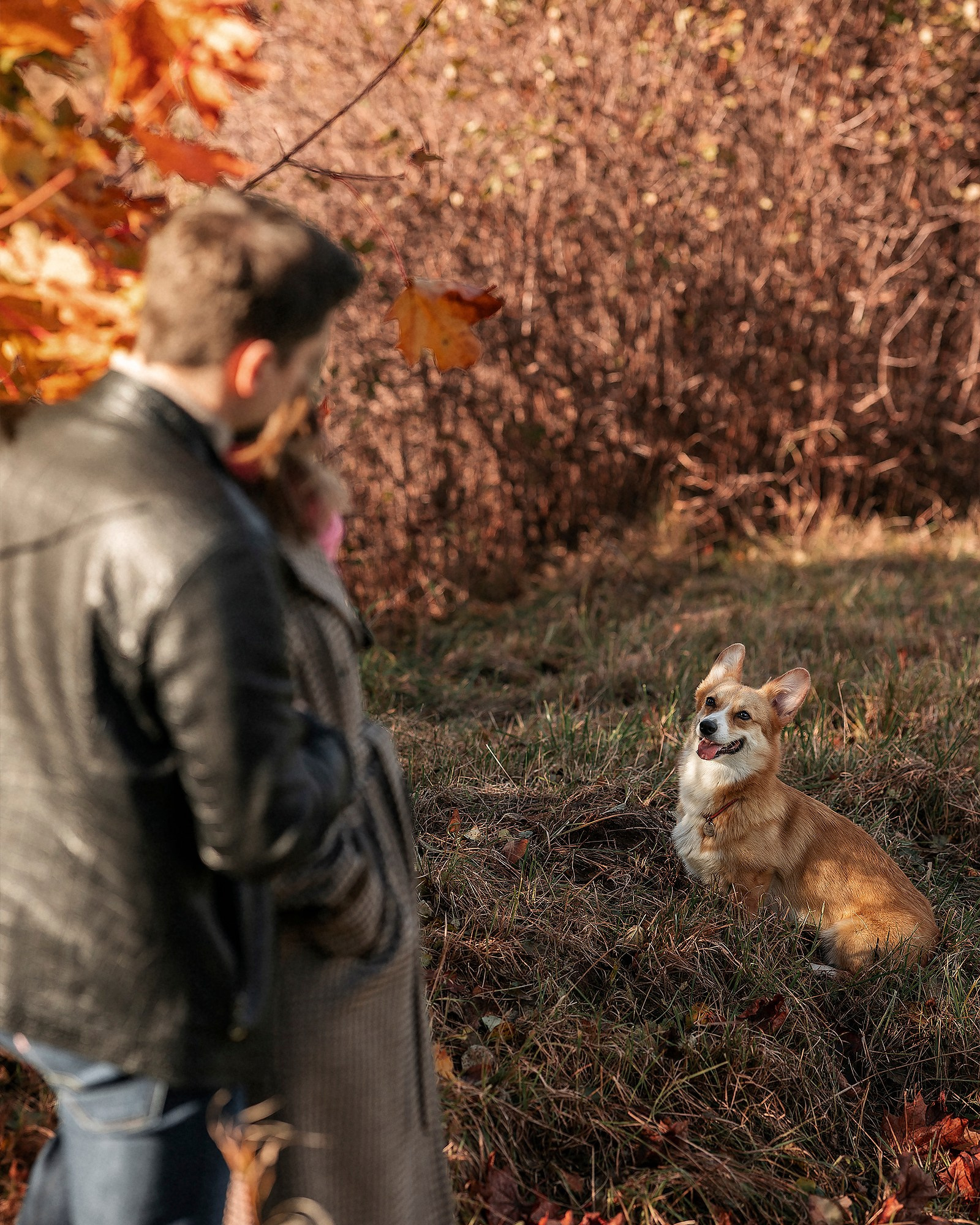 Друзья наши меньшие в осенней лавстори. Женский и семейный фотограф в Москве Виктория
