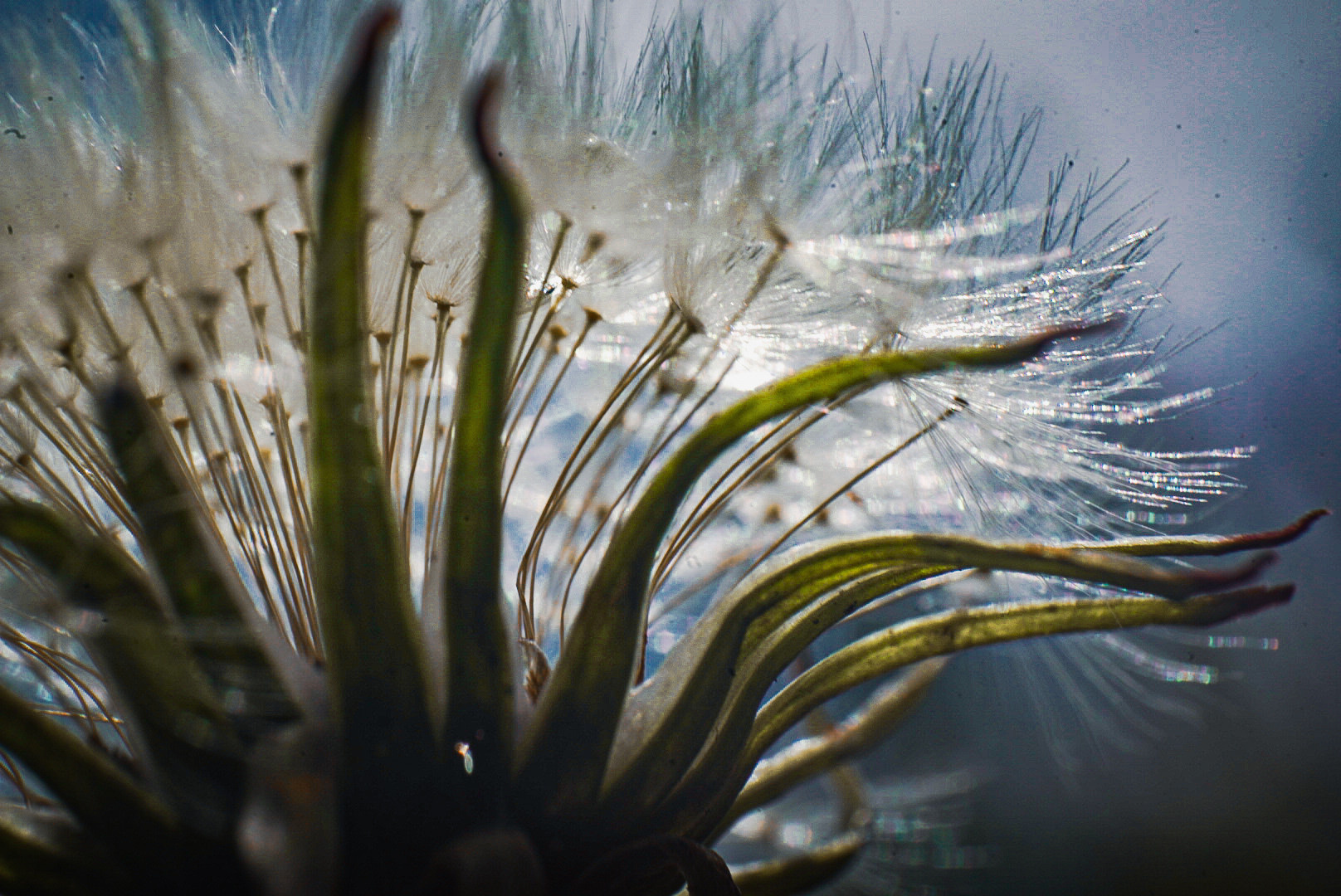 Отзывы. Фотограф и видеограф г. Нягань Анна Горшкова