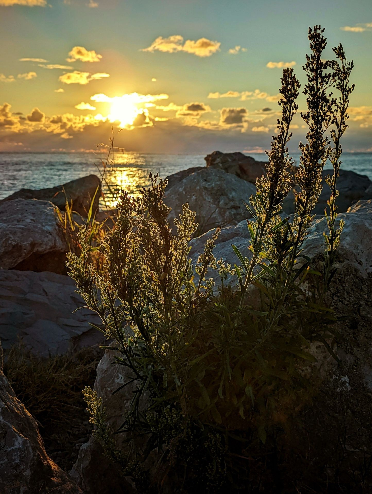 Закат над морем, освещающий камни и траву, создаёт атмосферу спокойствия и красоты