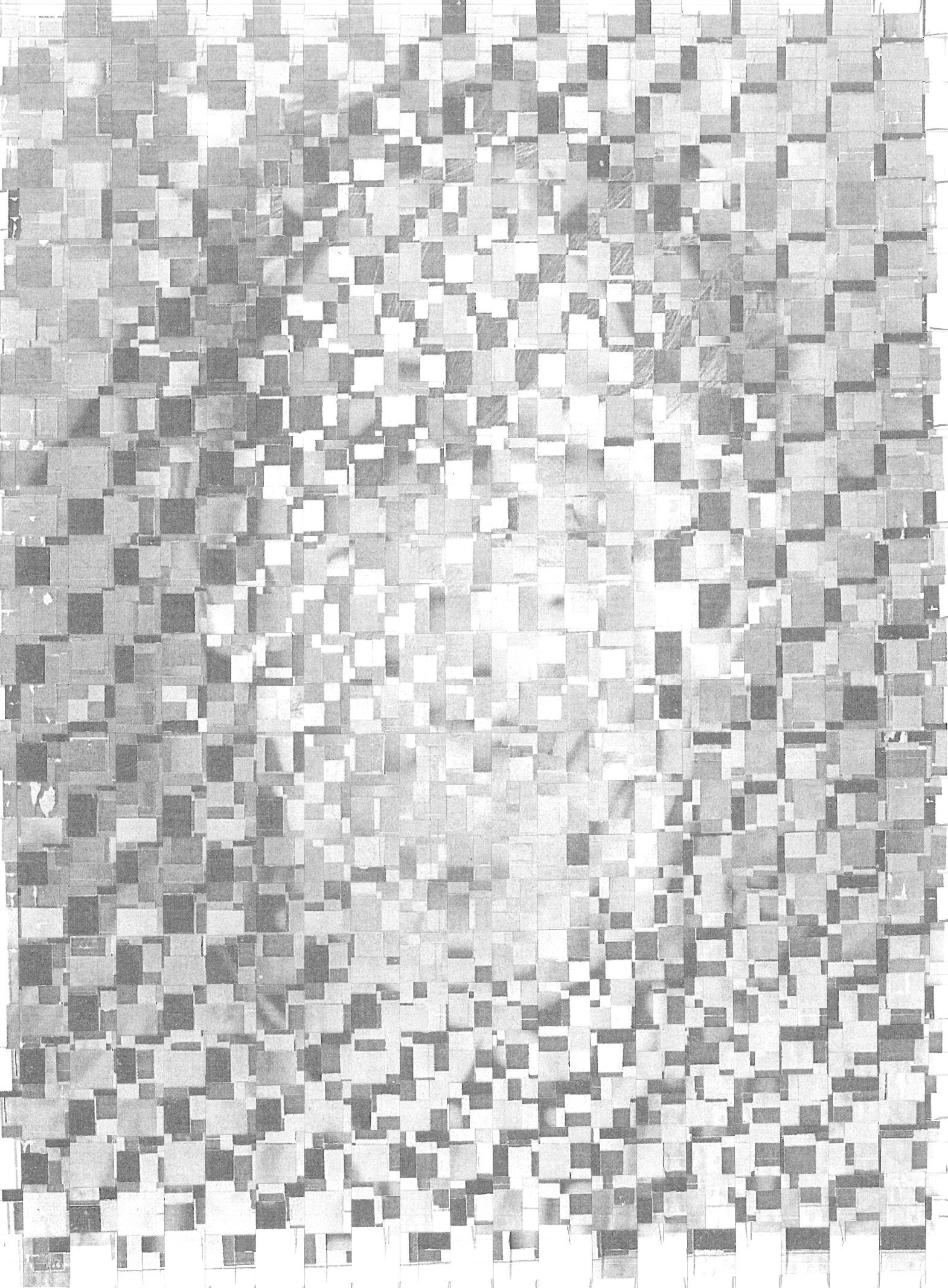 Лилия Ким. Междисциплинарный художник