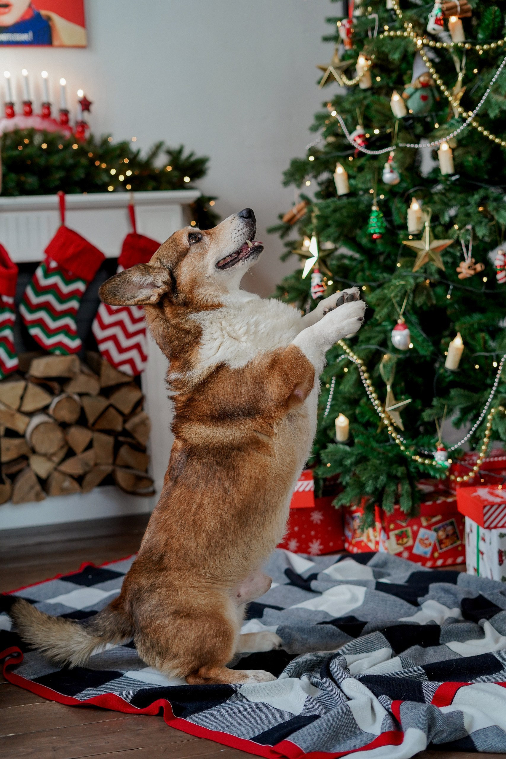 Фотограф Оля Чик