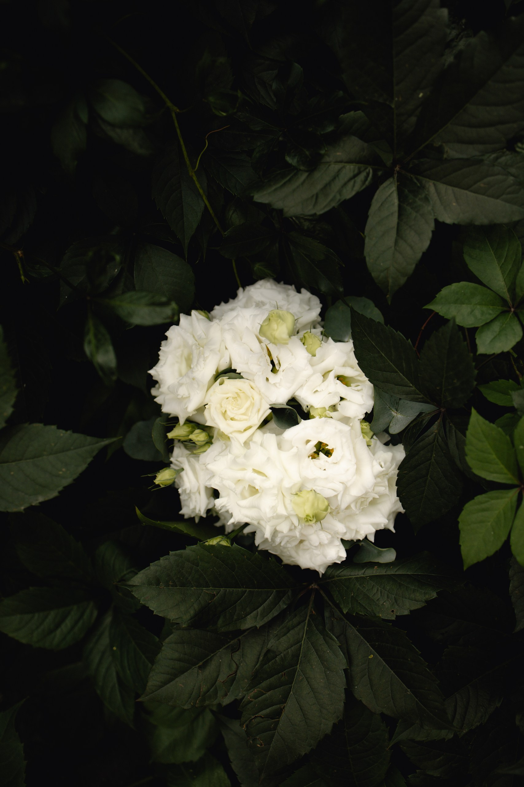 Фотограф Минеева Ксения. Индивидуальные, свадебные съемки в Челябинске