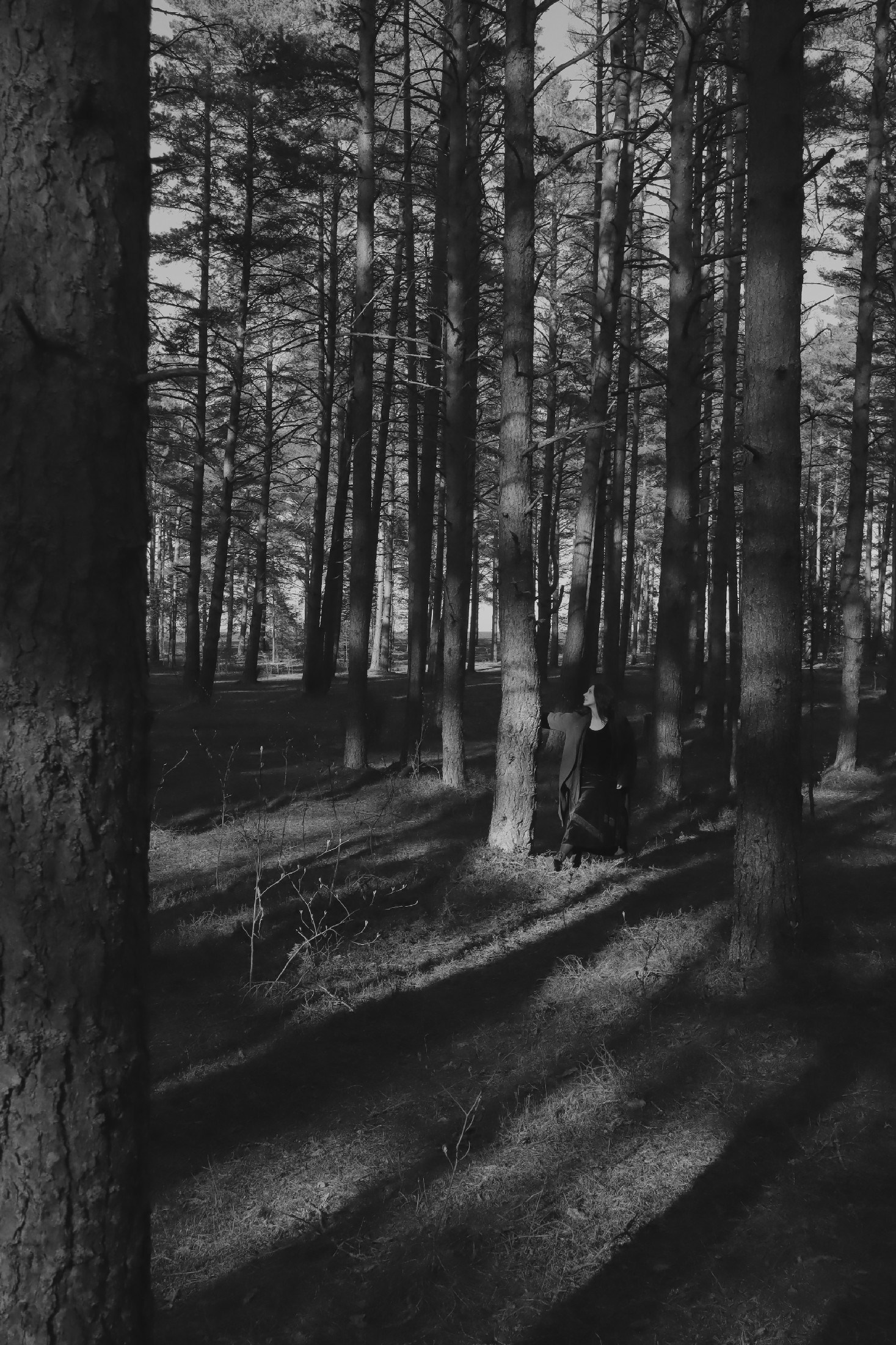 Лебяжье, берег Финского залива. FOTOFAQ SKOOL г. Санкт-Петербург: очные, дистанционные и онлайн курсы фотографии