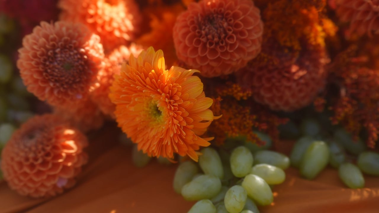 Юля и Дима. Агата Акварель видеограф Сочи Краснодар